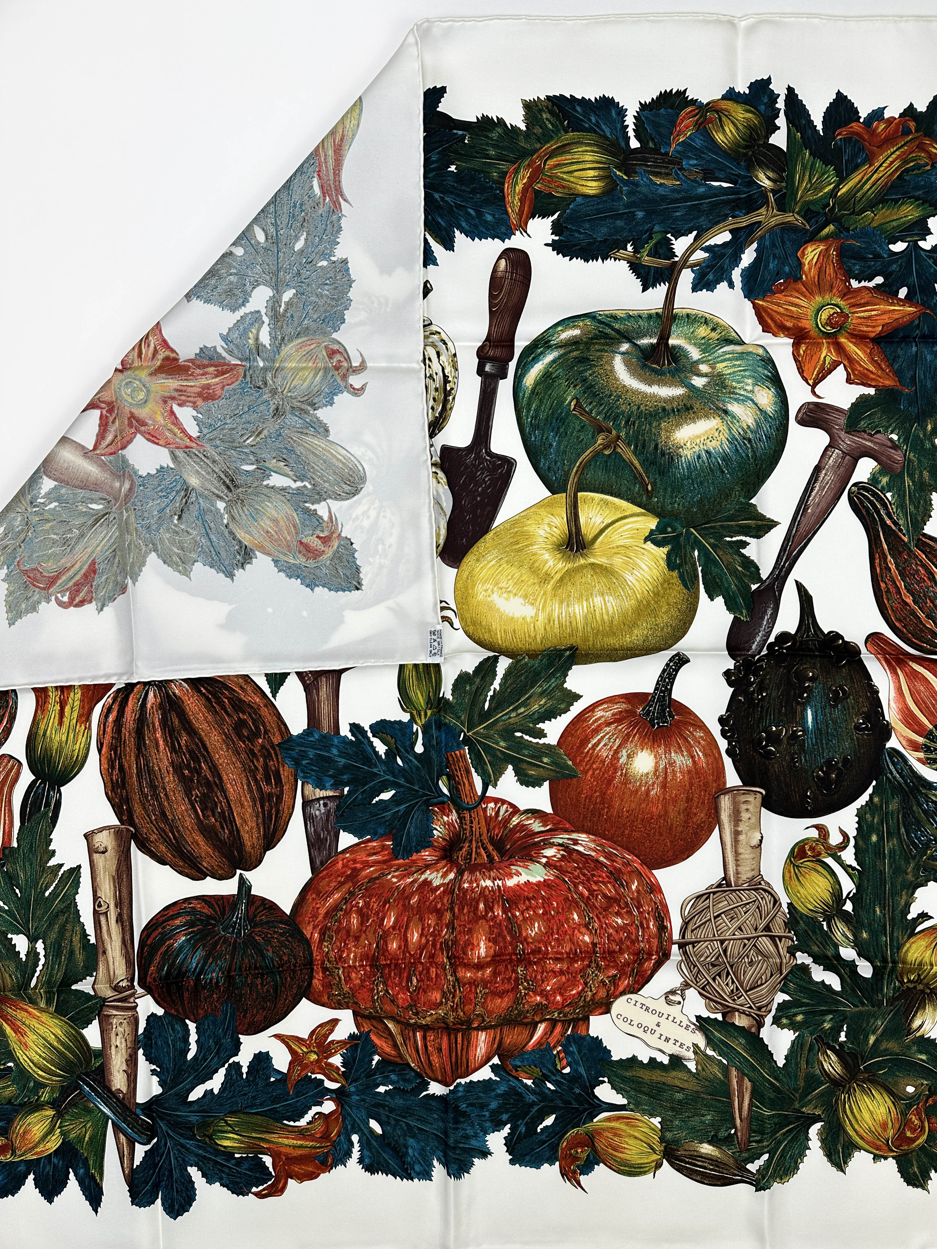 Hermès Citrouilles et Coloquintes 90