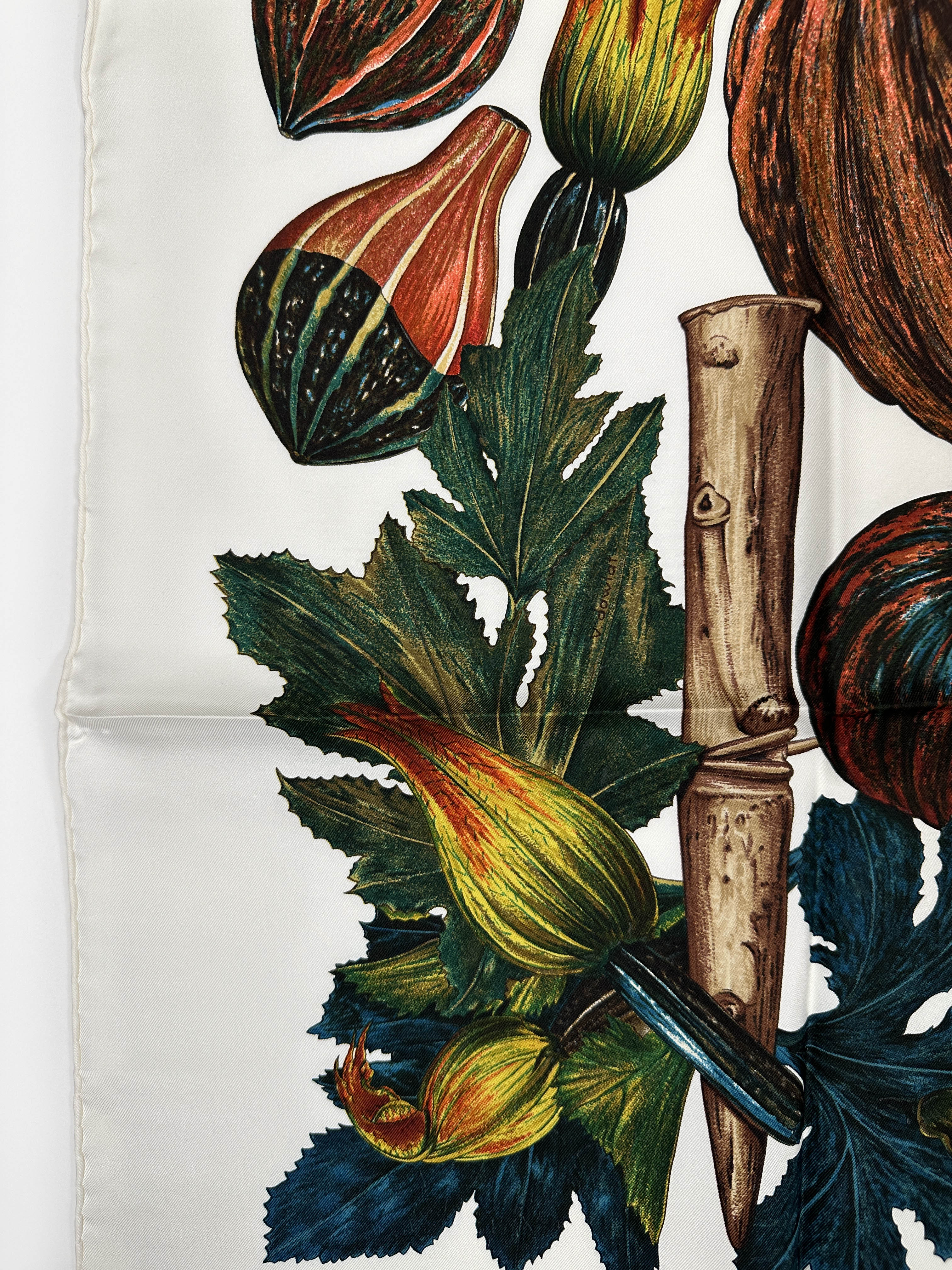 Hermès Citrouilles et Coloquintes 90