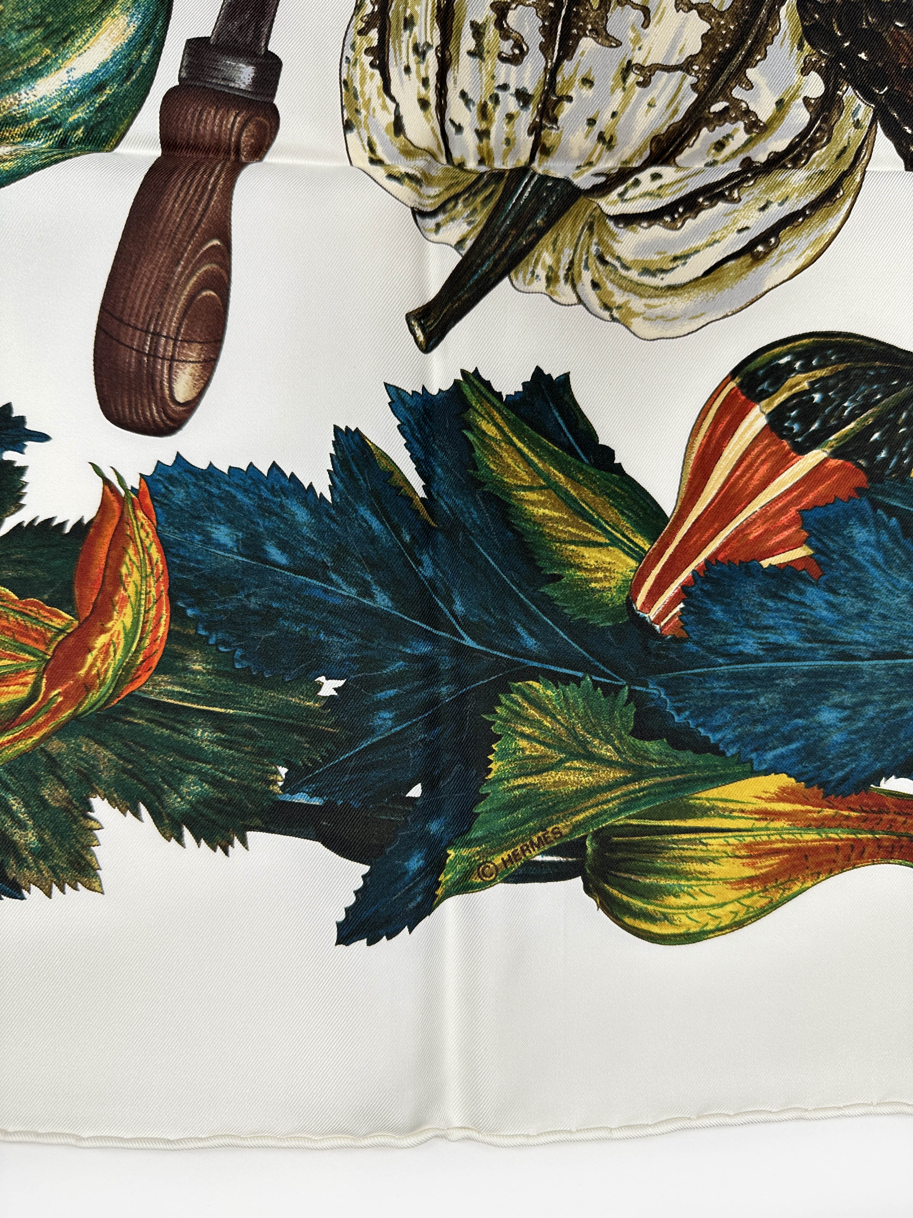 Hermès Citrouilles et Coloquintes 90