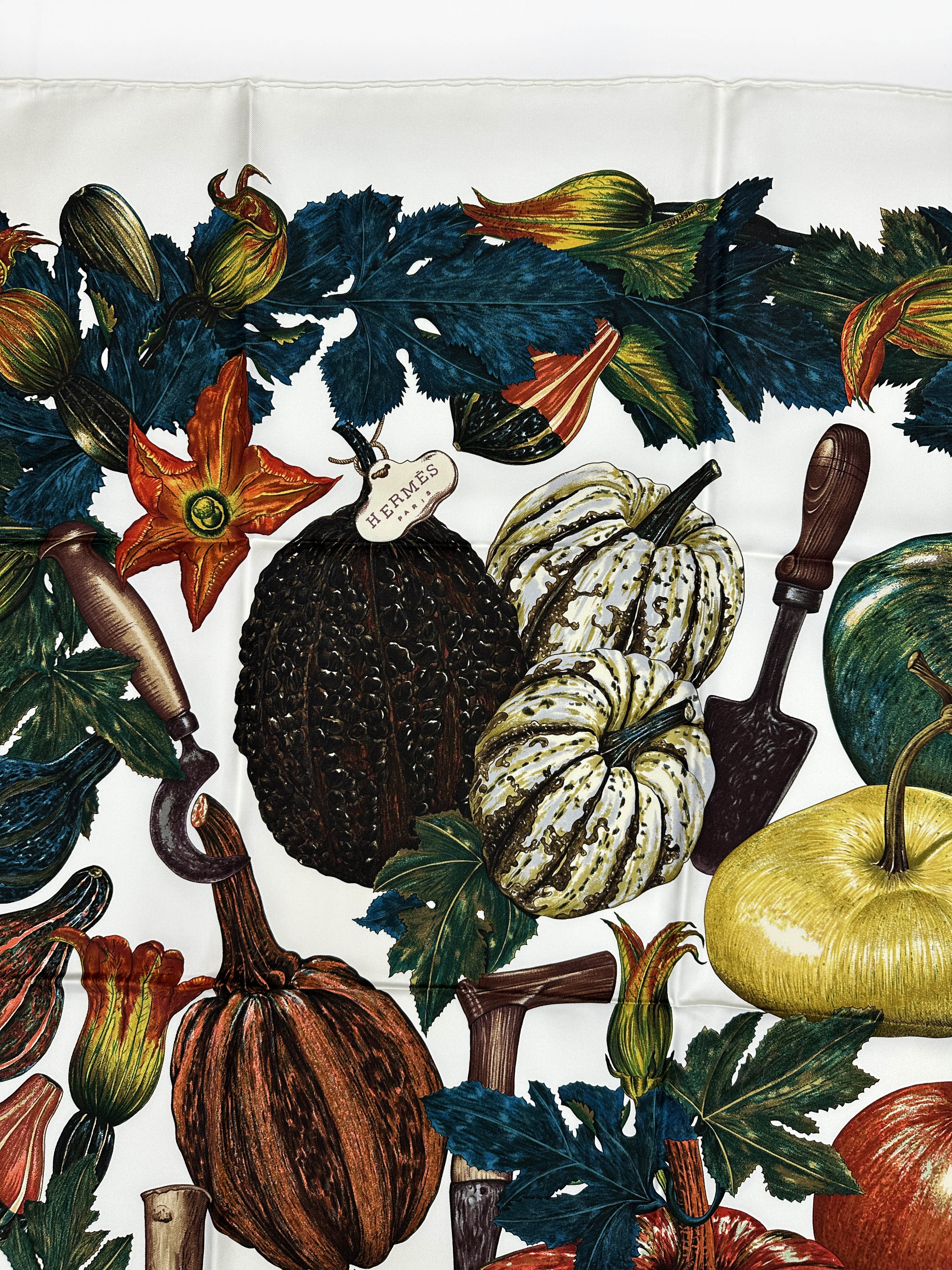 Hermès Citrouilles et Coloquintes 90