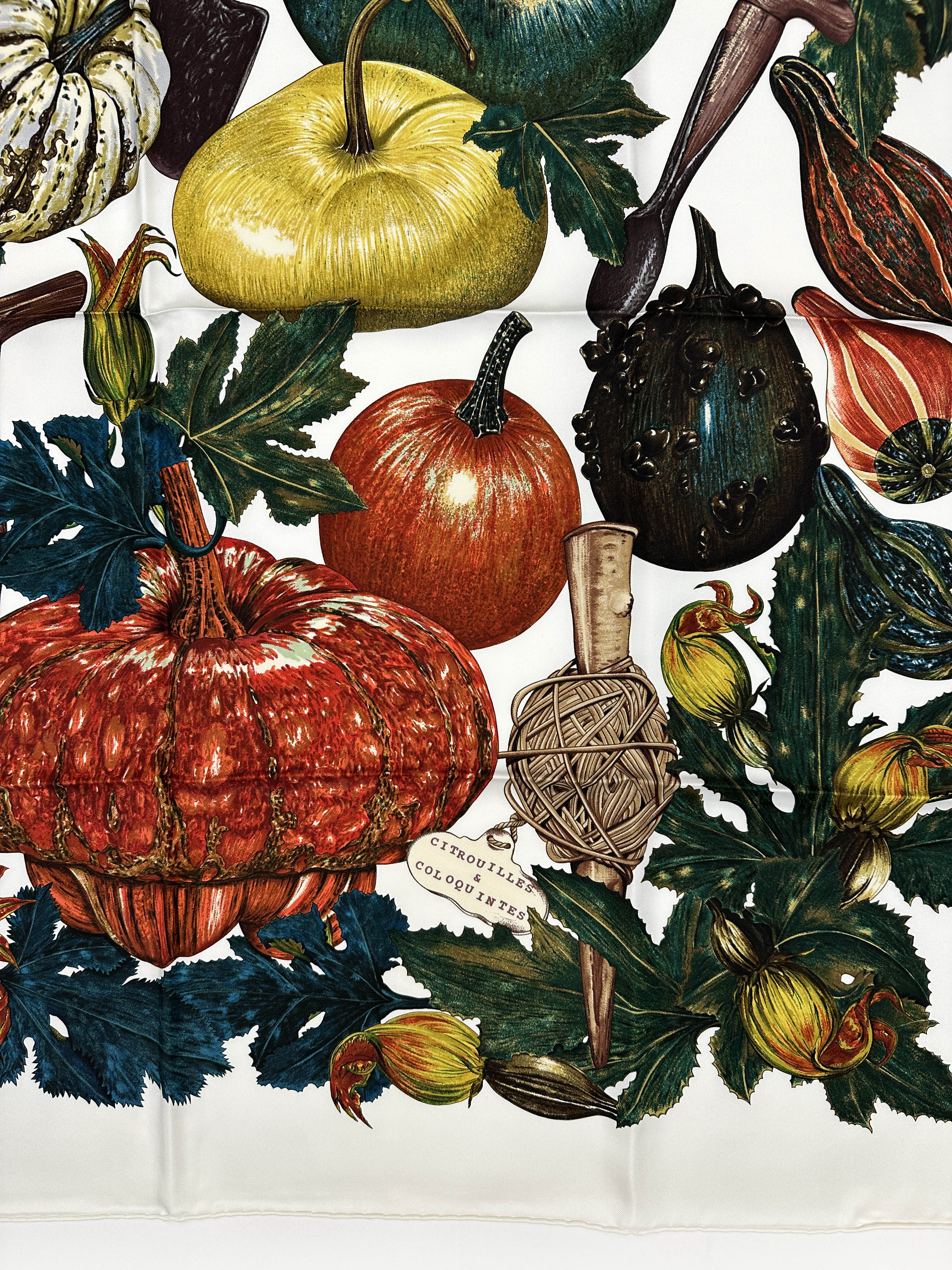 Hermès Citrouilles et Coloquintes 90