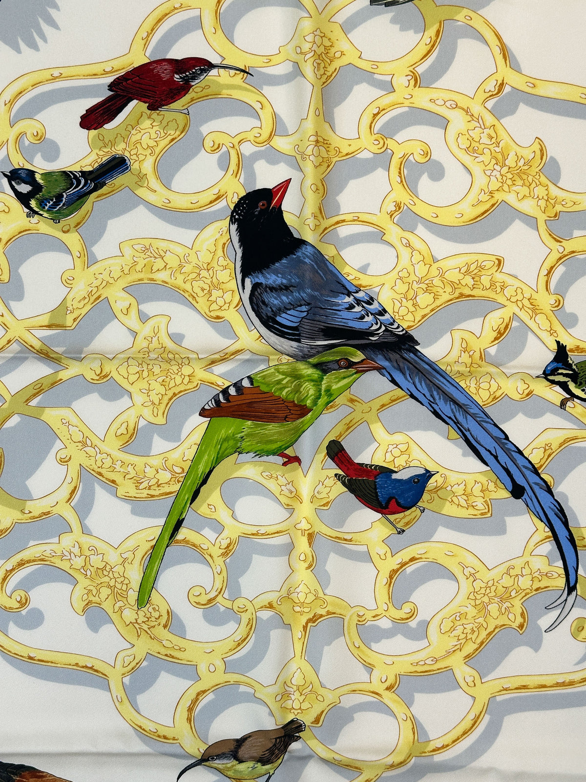 Hermès Oiseaux de L'Inde et de L'Himalaya 90