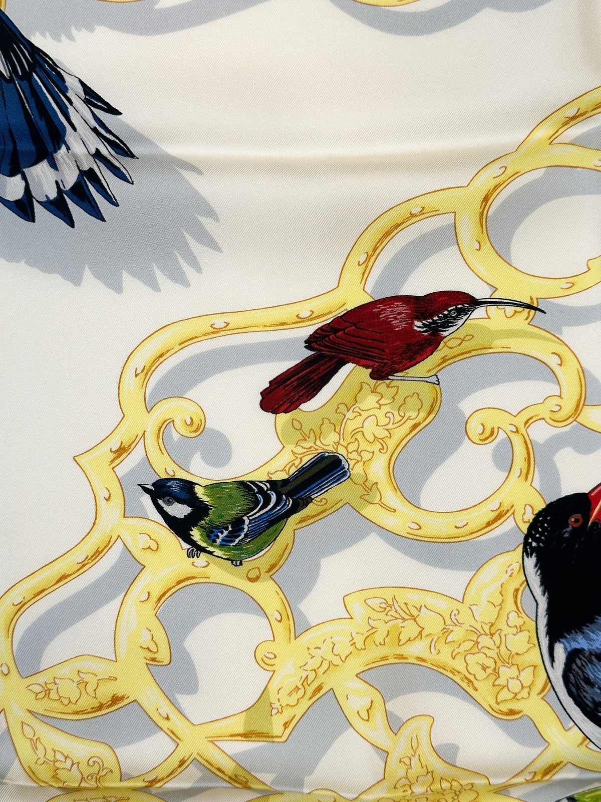 Hermès Oiseaux de L'Inde et de L'Himalaya 90