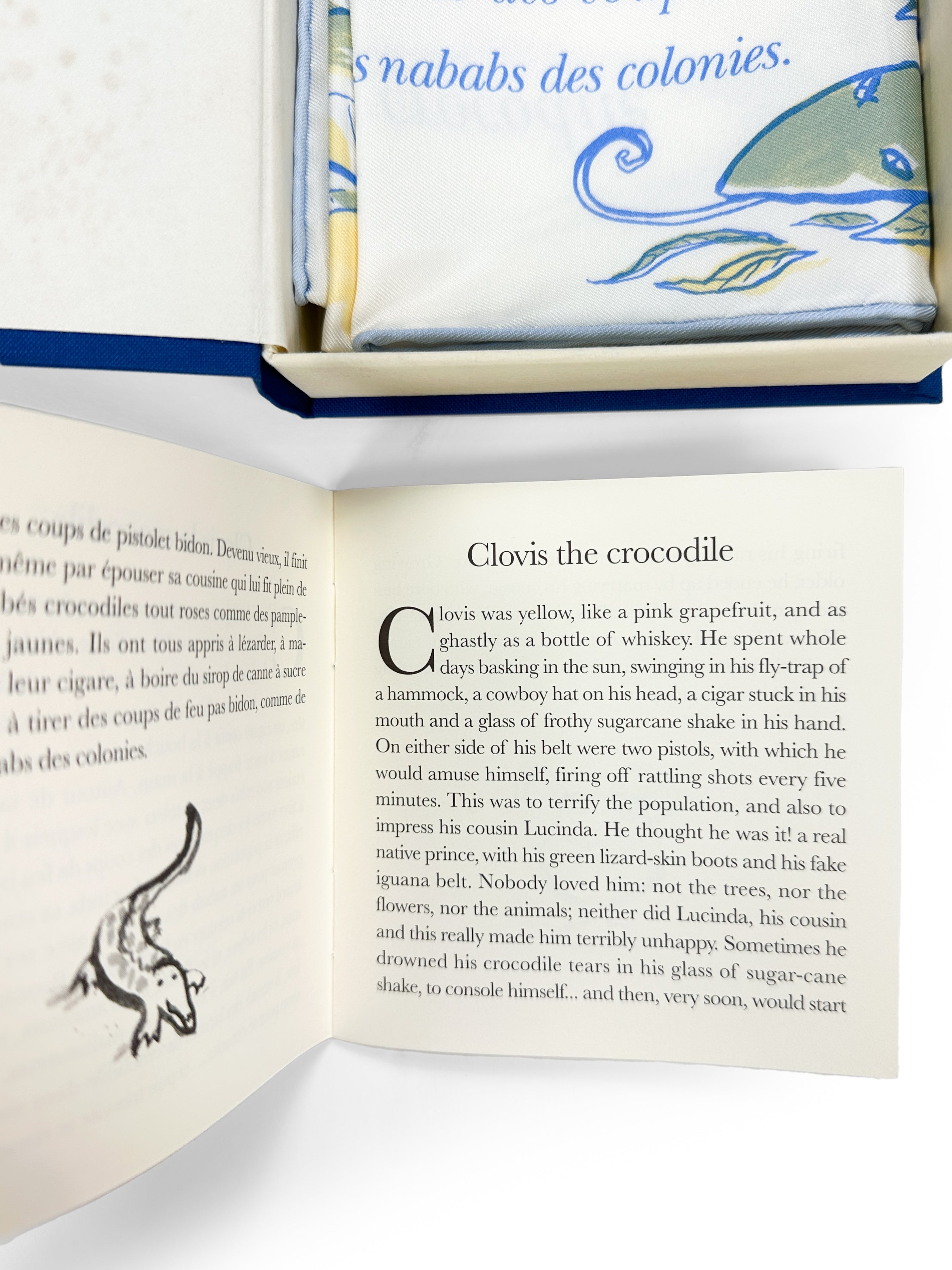 Hermes Clovis Story Book 45