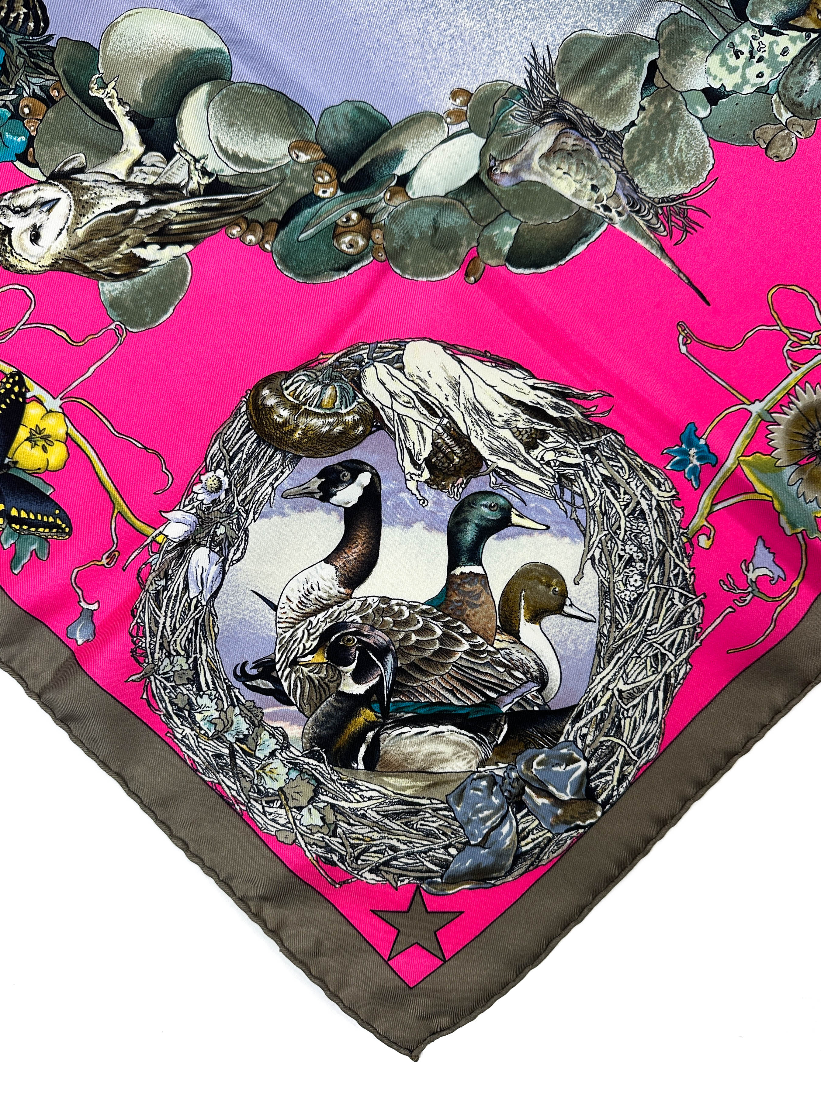 Hermès Faune et Flore du Texas 90