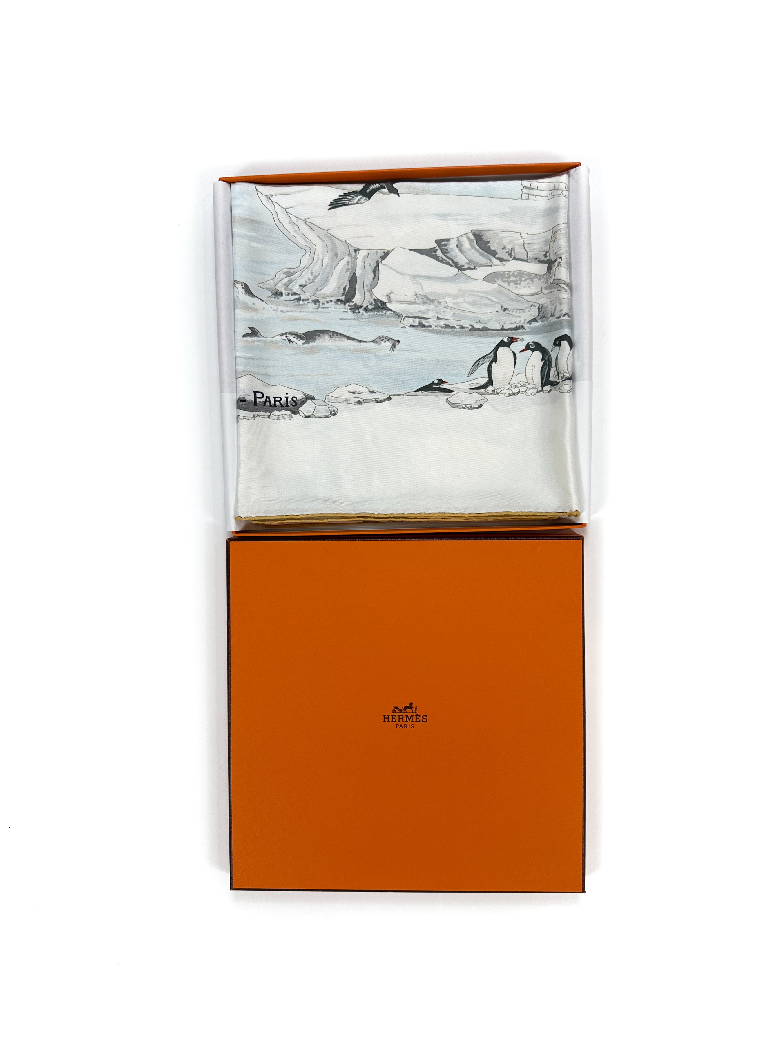 Hermès Hommage à l'Explorateur Sir Ernest Shackleton 90