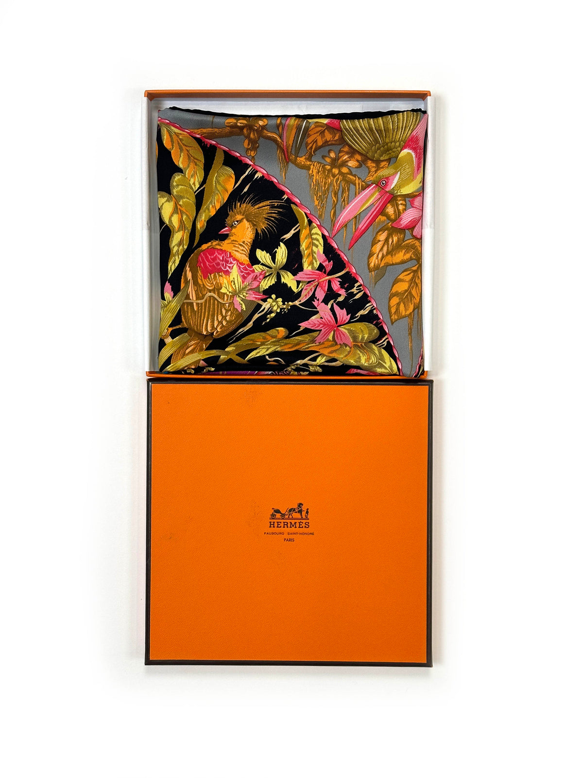 Hermès Tropiques 70