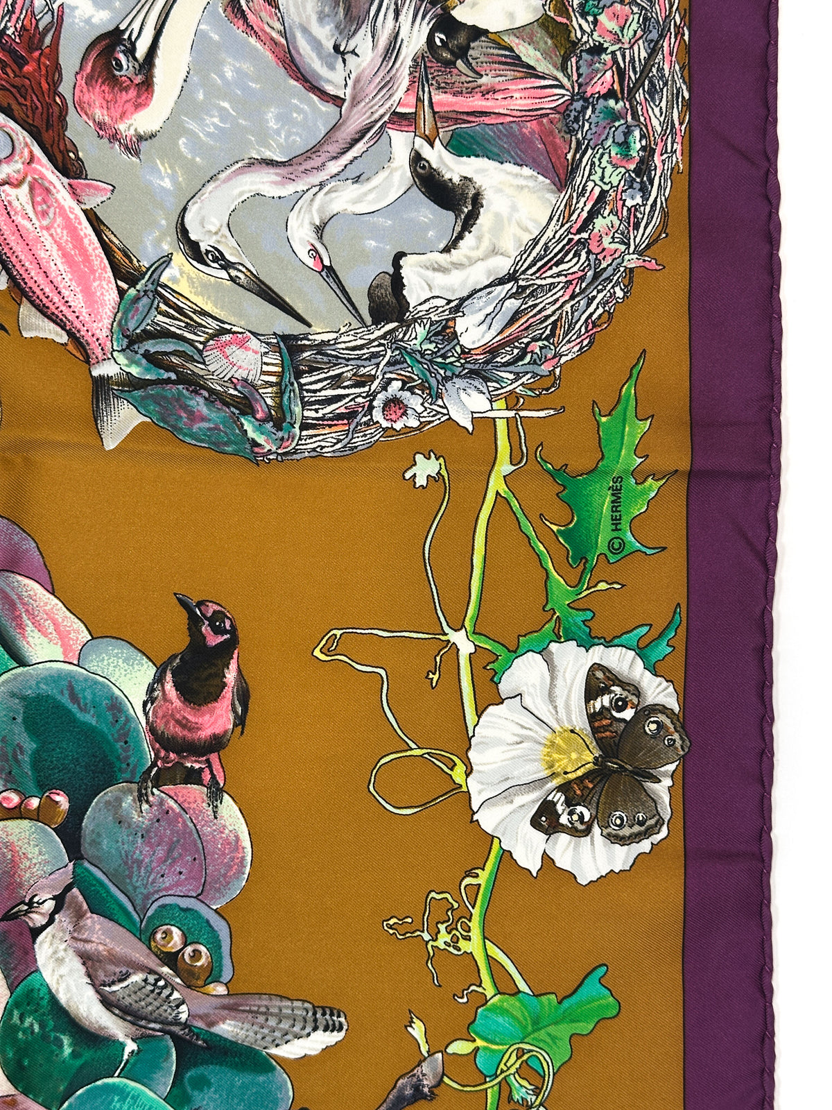 Hermès Faune et Flore du Texas 90