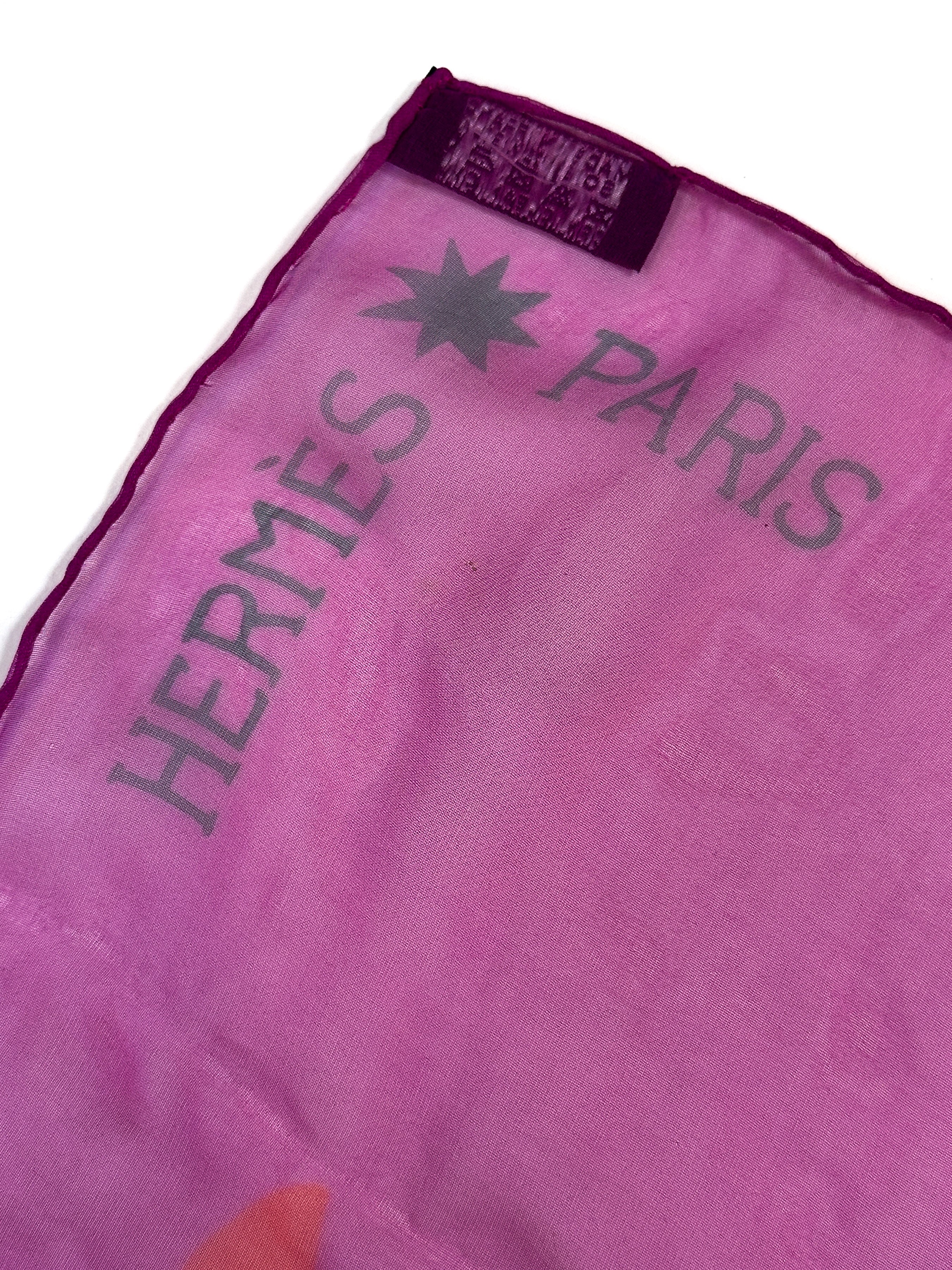 Hermès Zebra Pegasus Mousseline 140