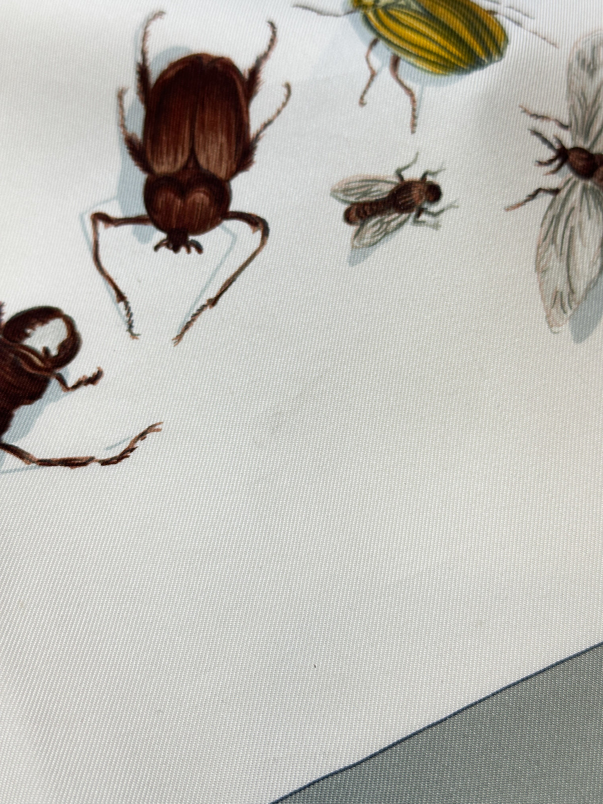 Hermès Les Insects 90