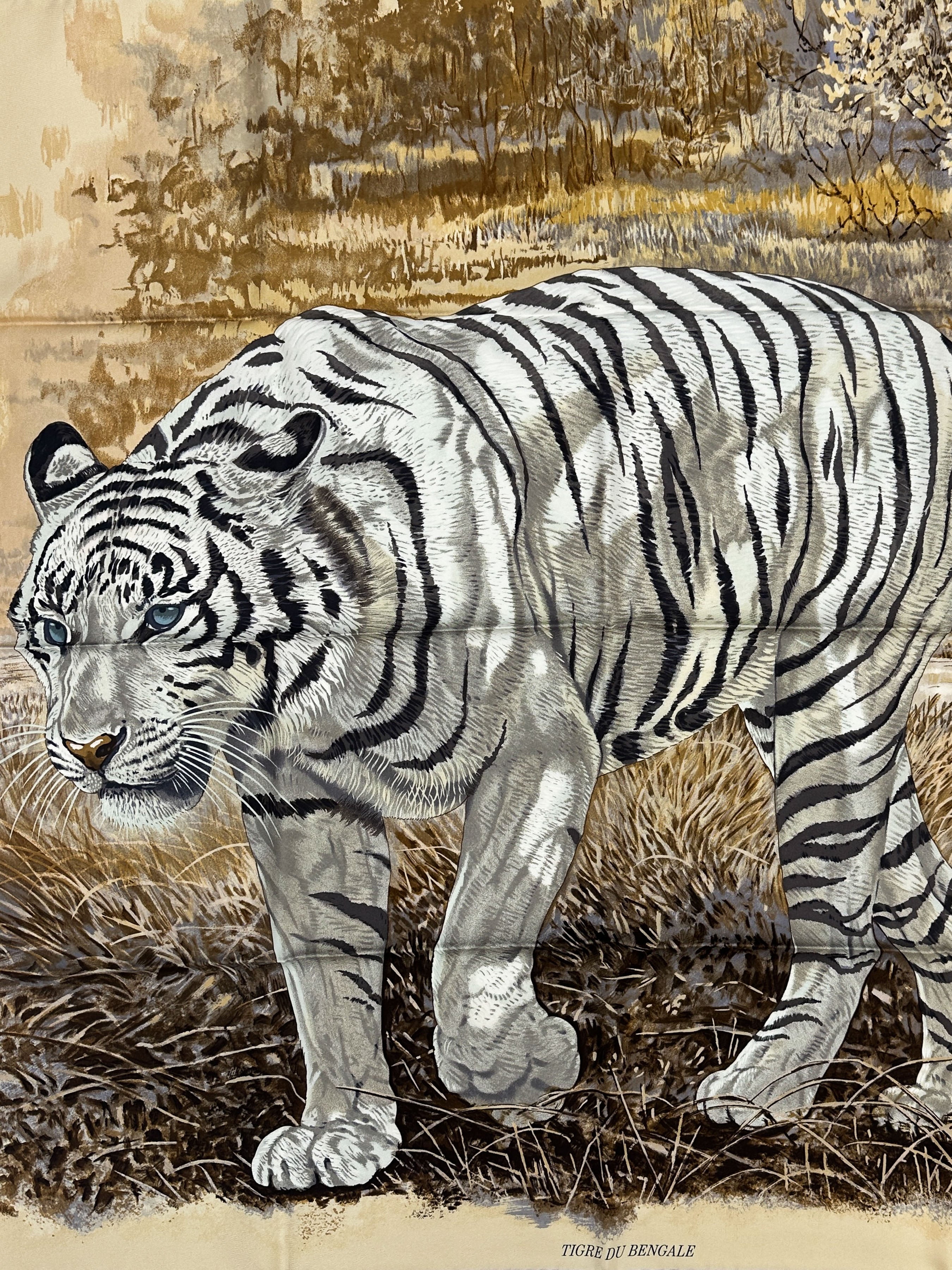 Hermès Tigre du Bengale 90