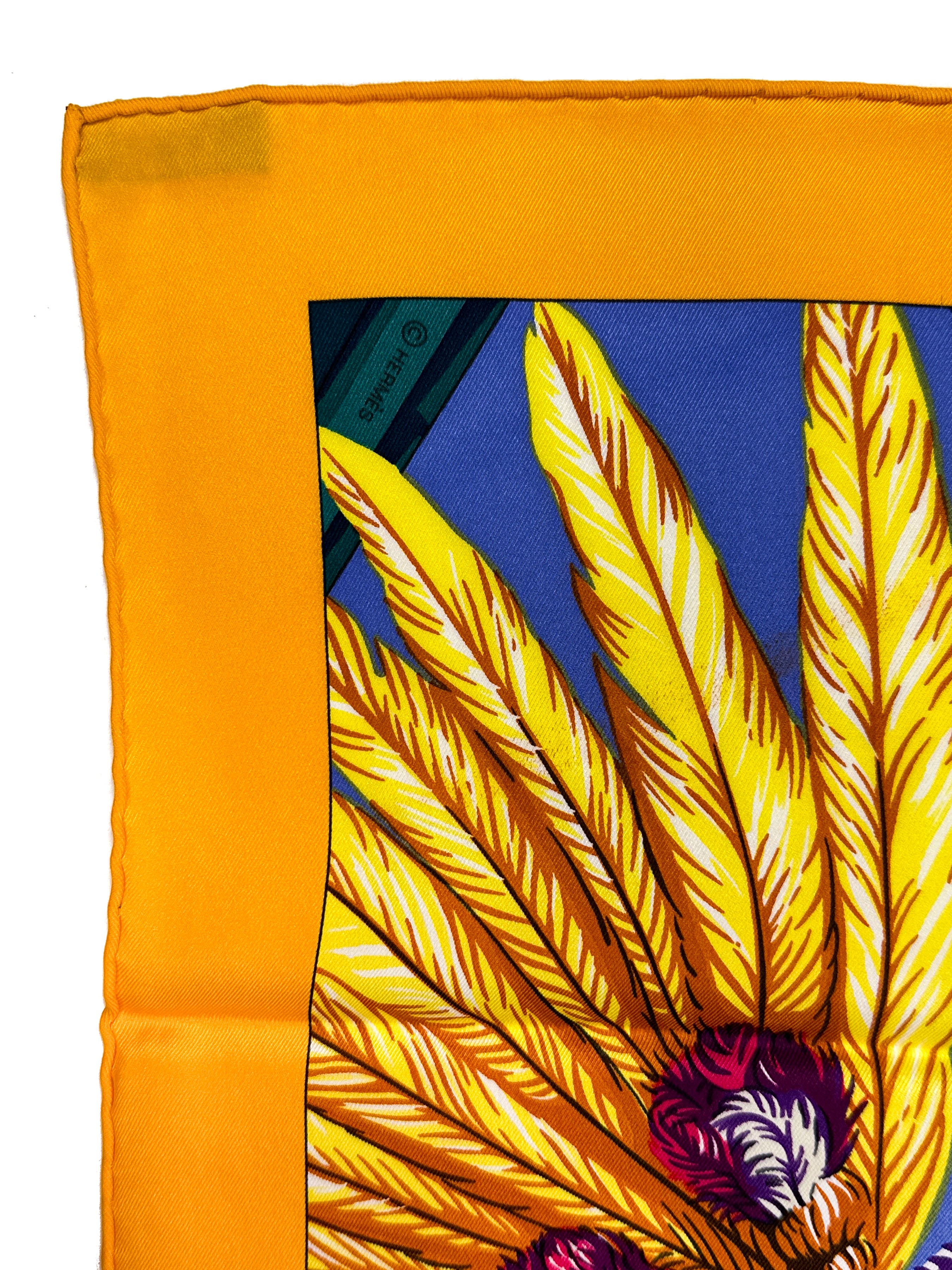 Hermès Brazil Detail 70