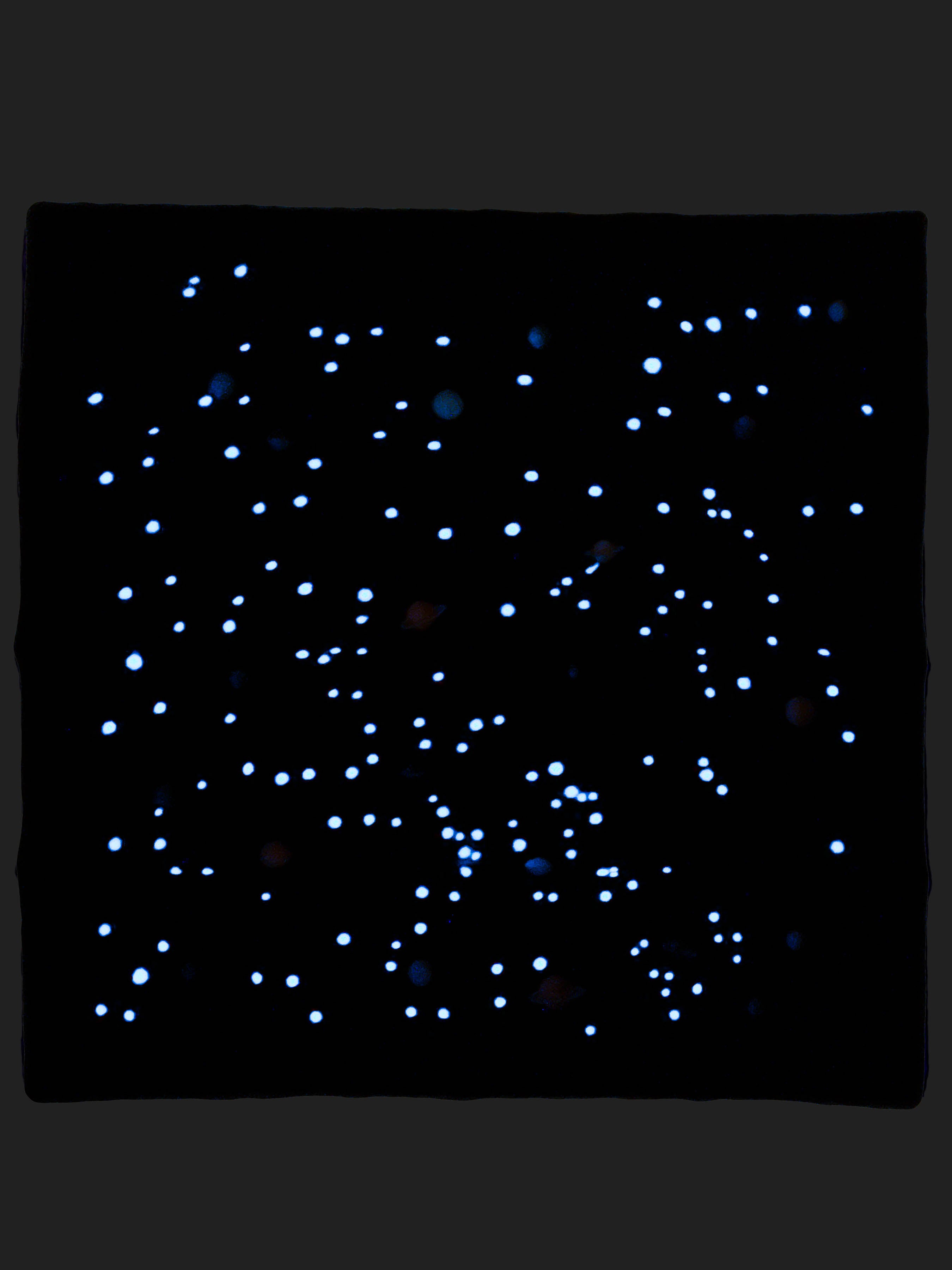 Hermès Limited Edition Glow In The Dark La Voie Lactée 90