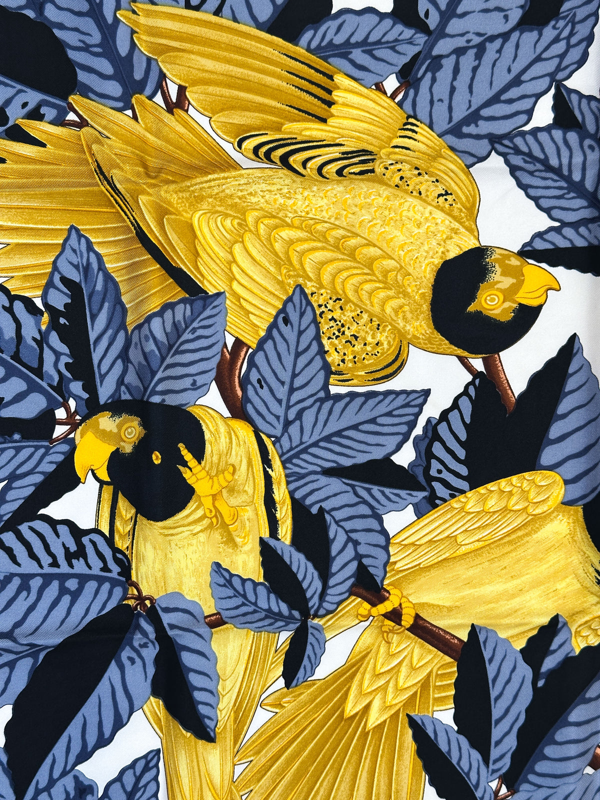 Hermès Les Perroquets 90