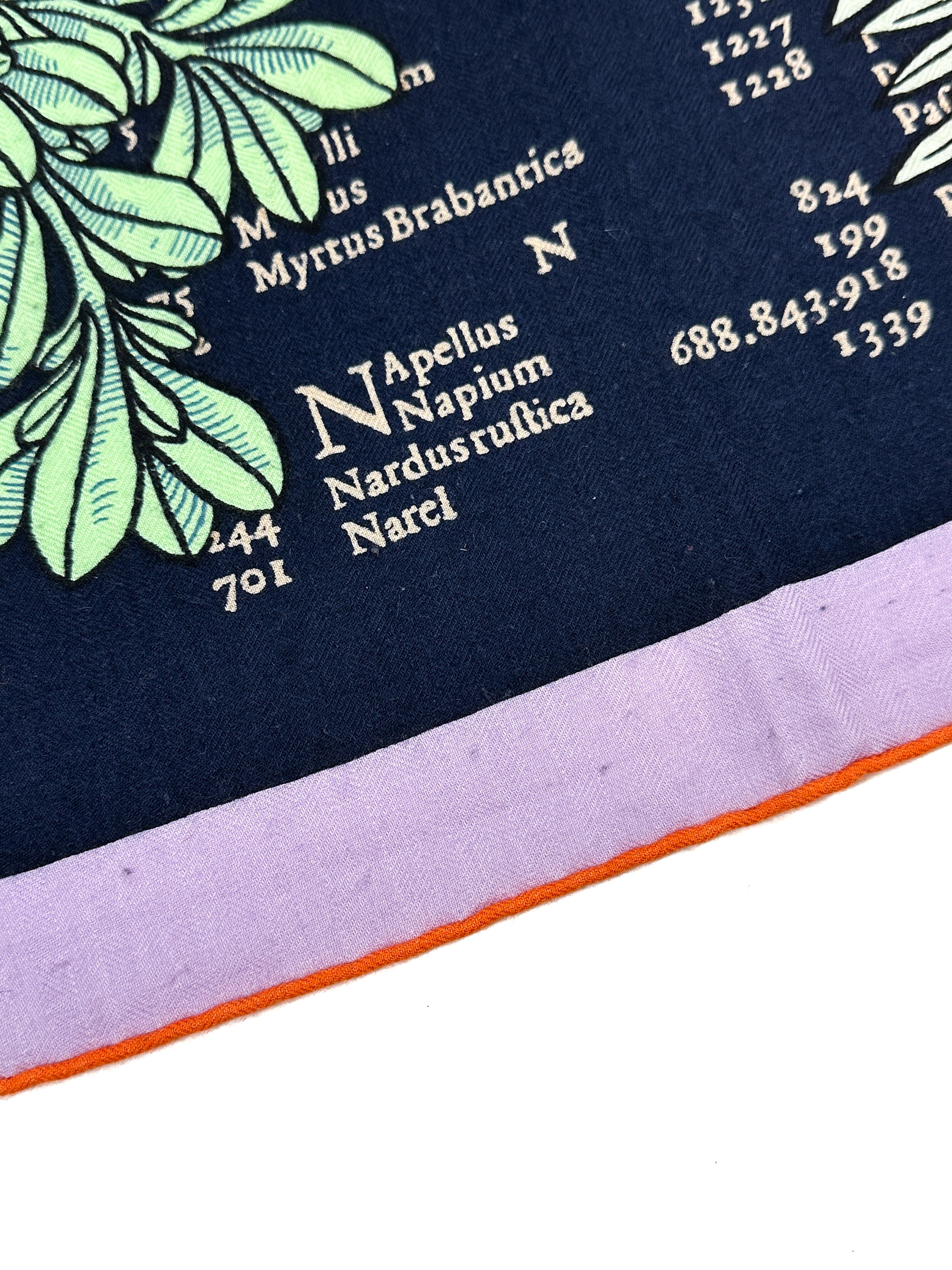 Hermès Botanica Grafica Cashmere Silk 140