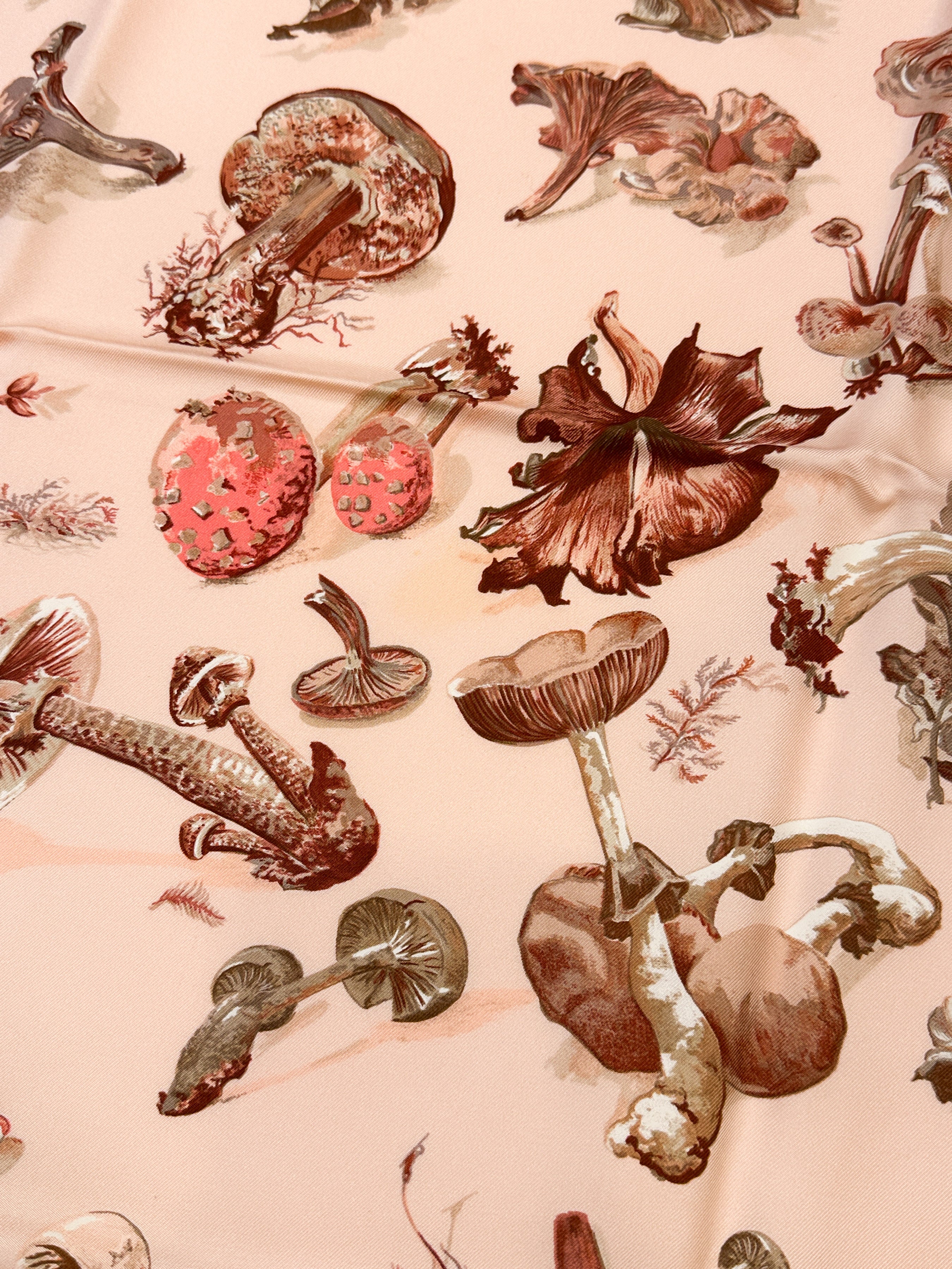 Hermès Champignons 90