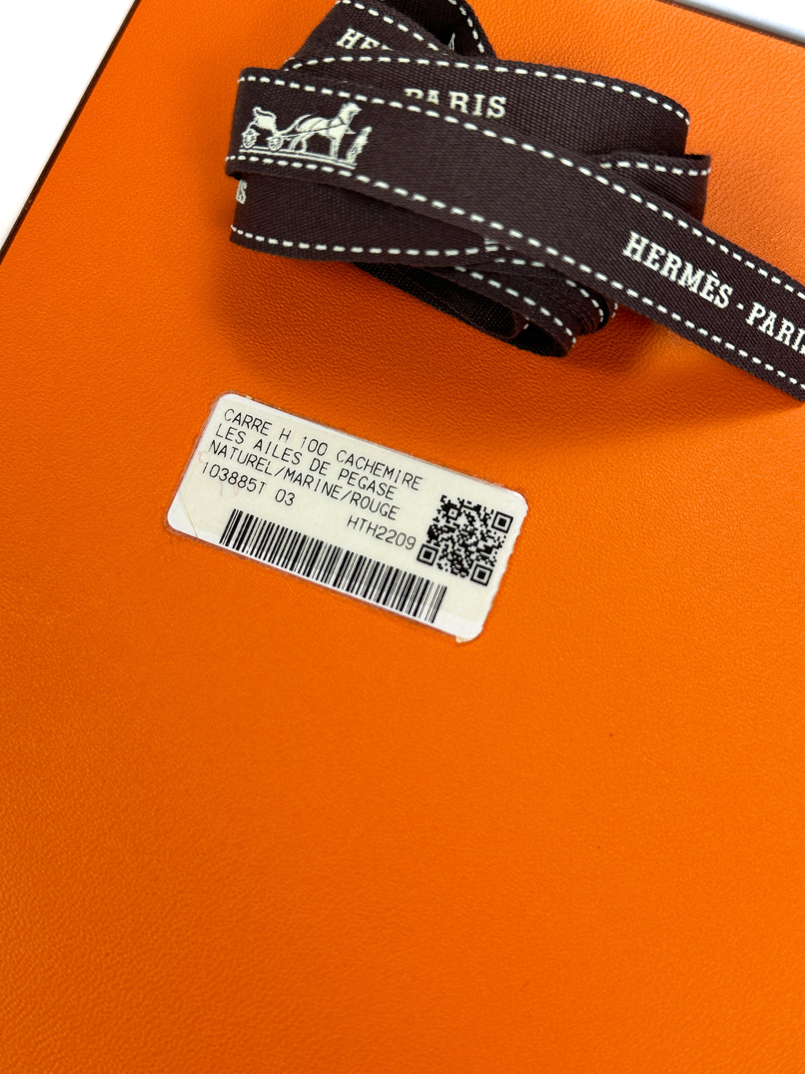 Hermès Les Ailes De Pegase Cashmere Silk 100