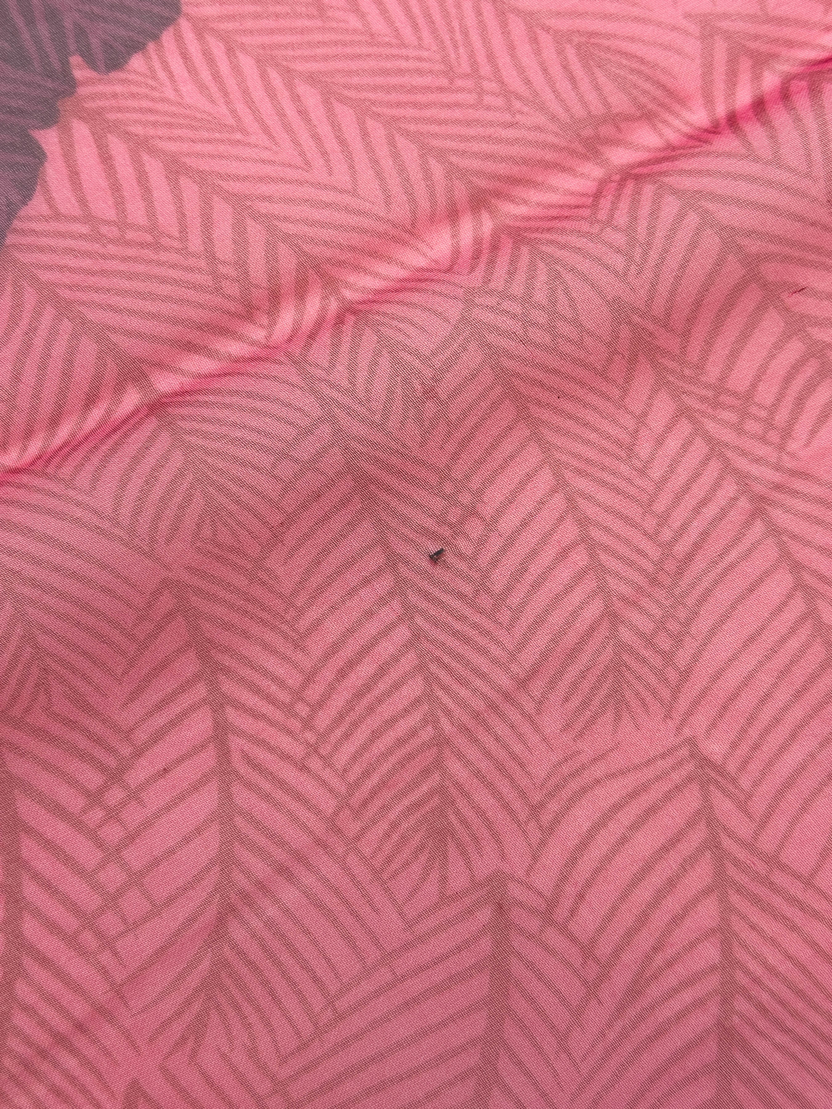 Hermès Zebra Pegasus Mousseline 140