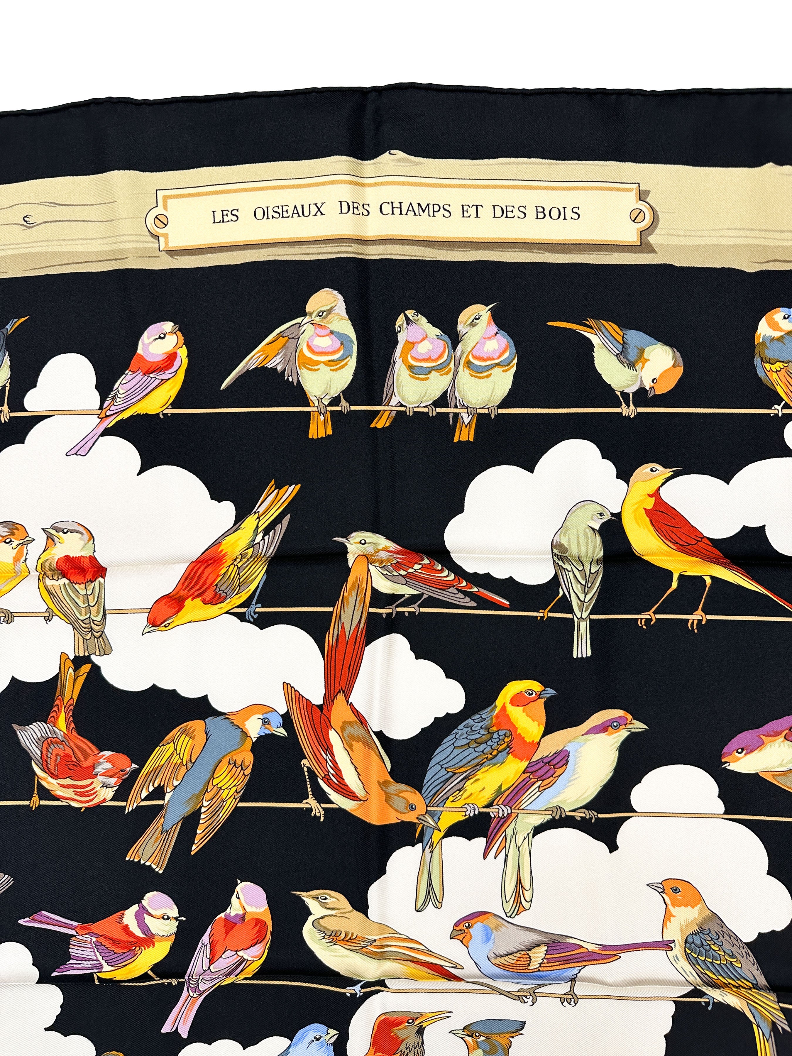 Hermès Les Oiseaux des Champs et des Bois 90