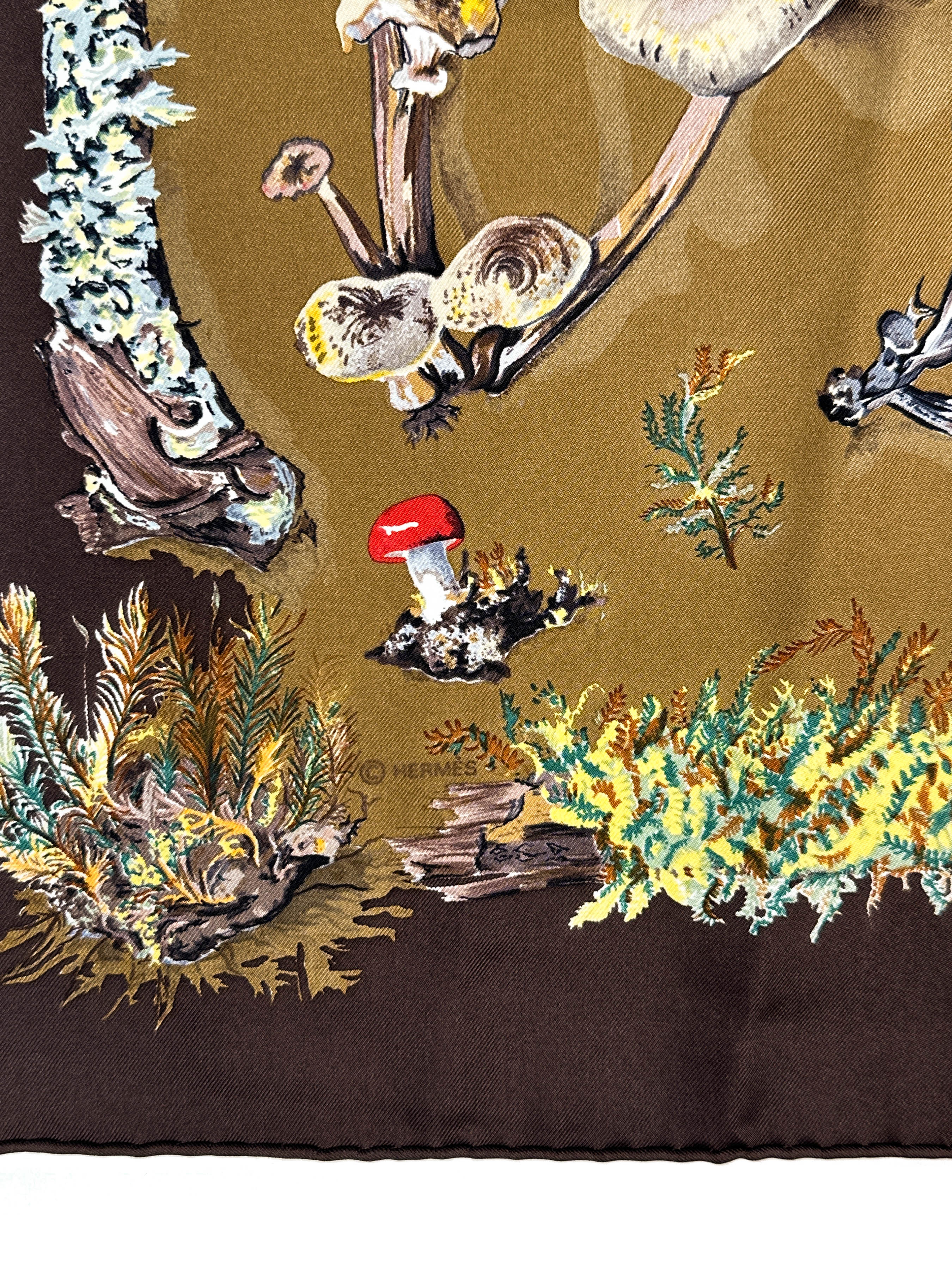Hermès Champignons 90
