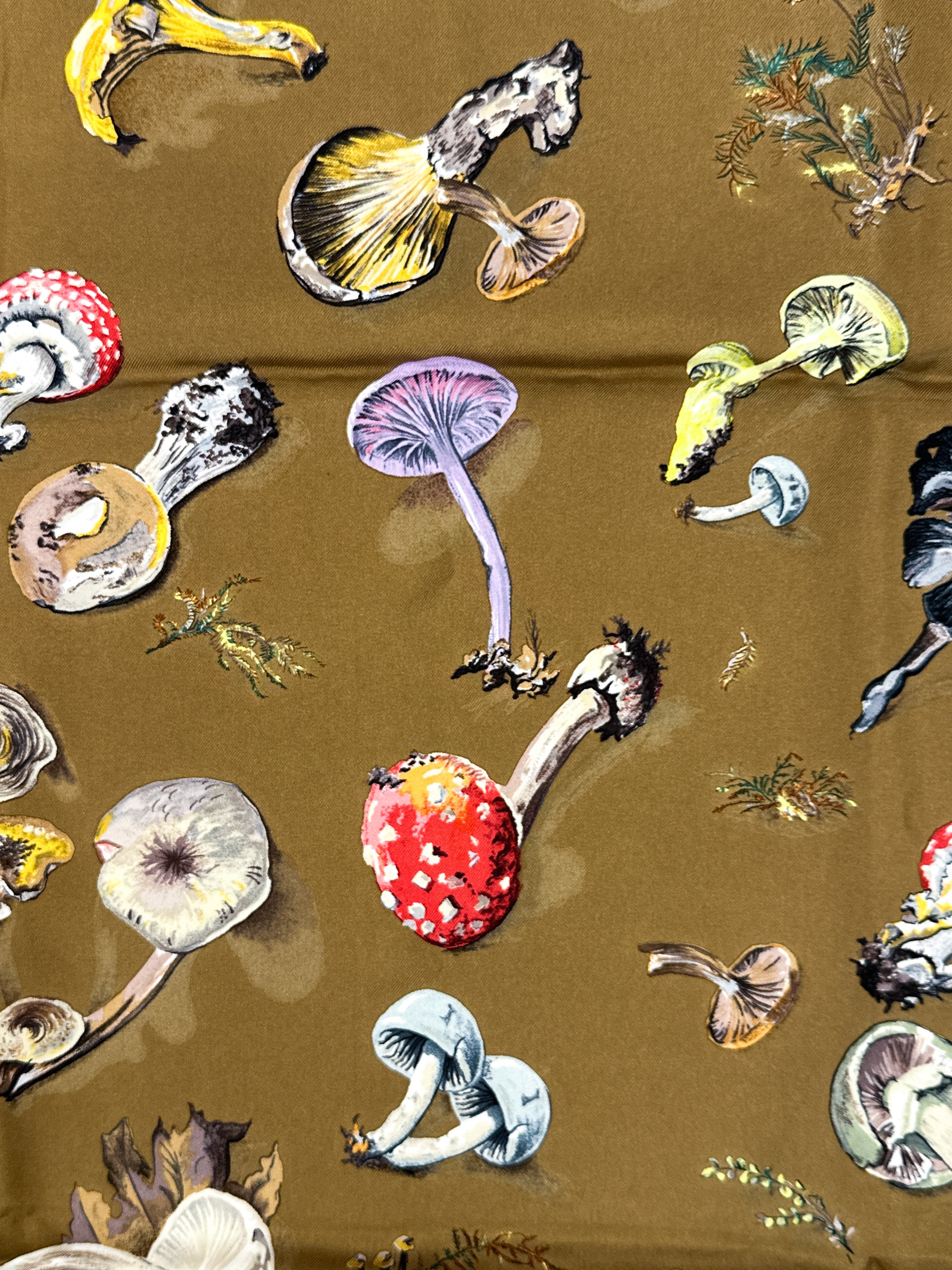 Hermès Champignons 90
