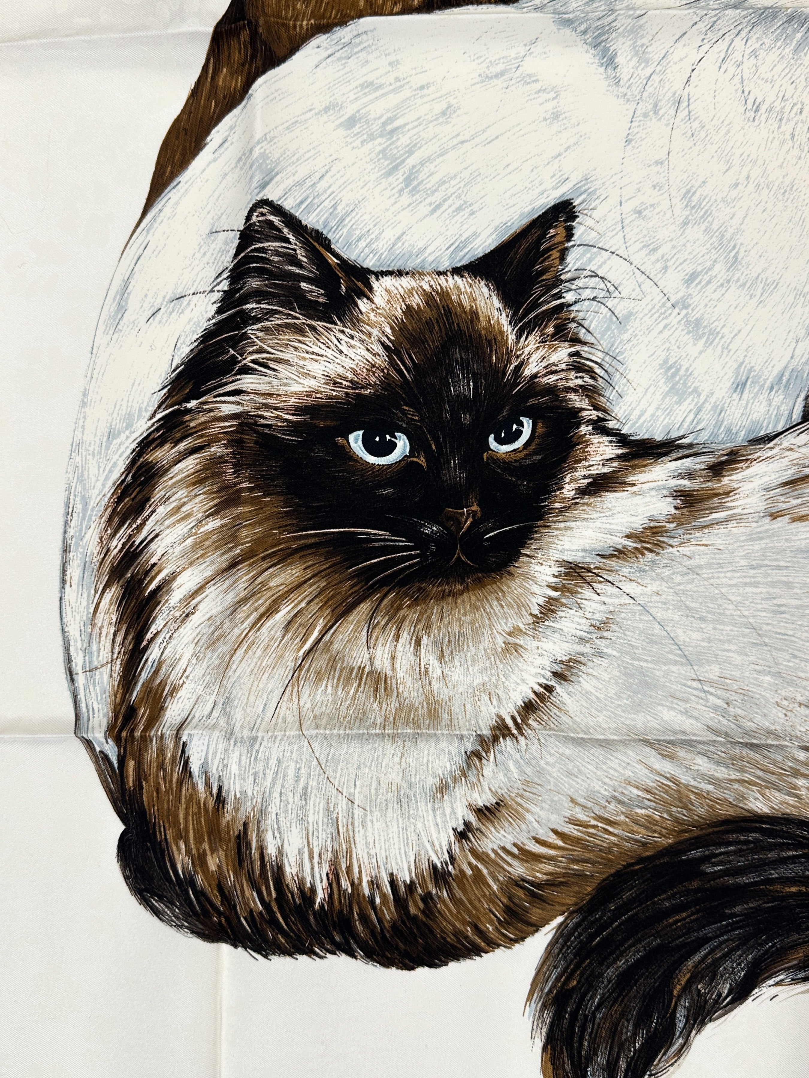 Hermès Les Chats 90