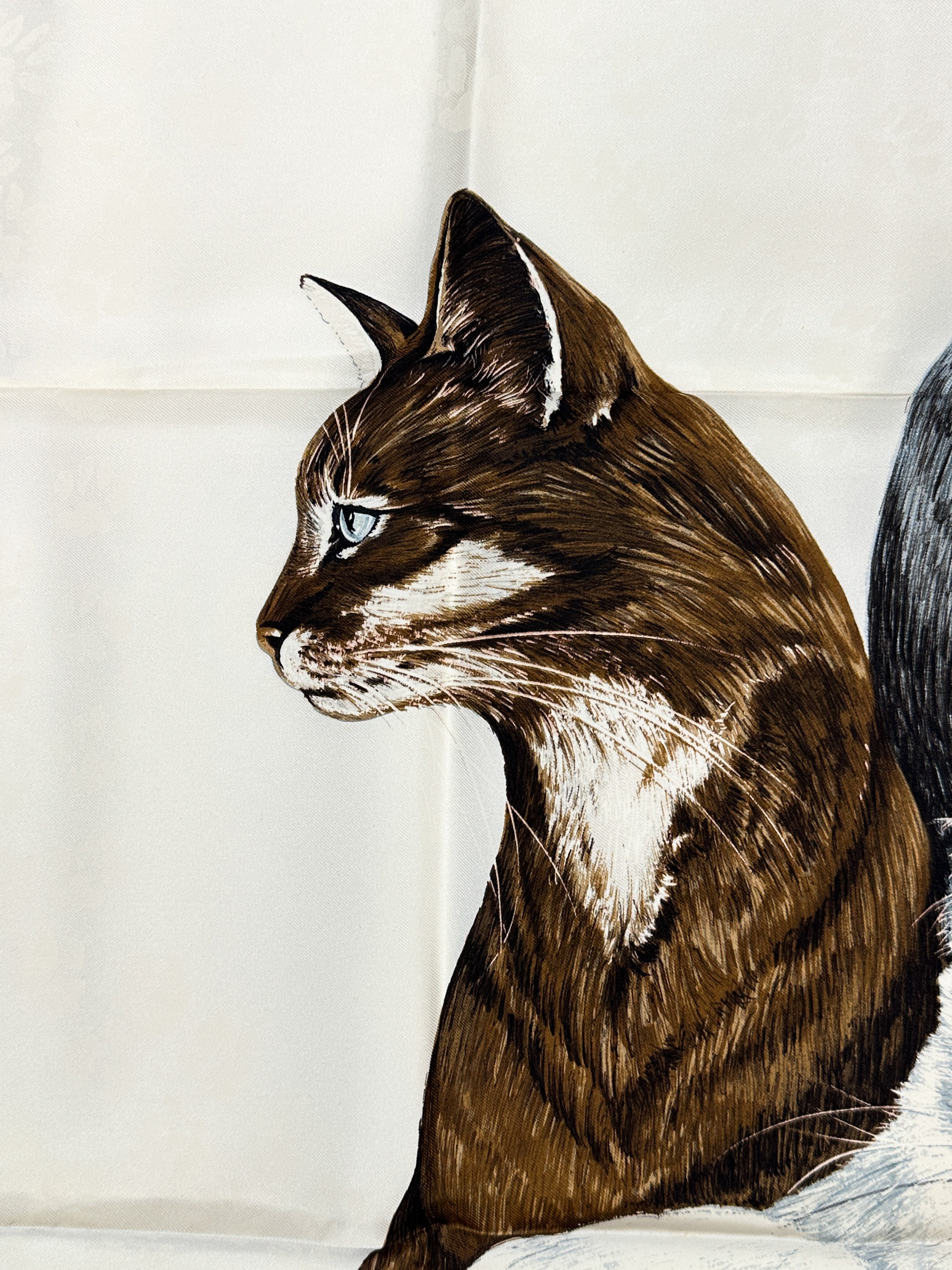 Hermès Les Chats 90