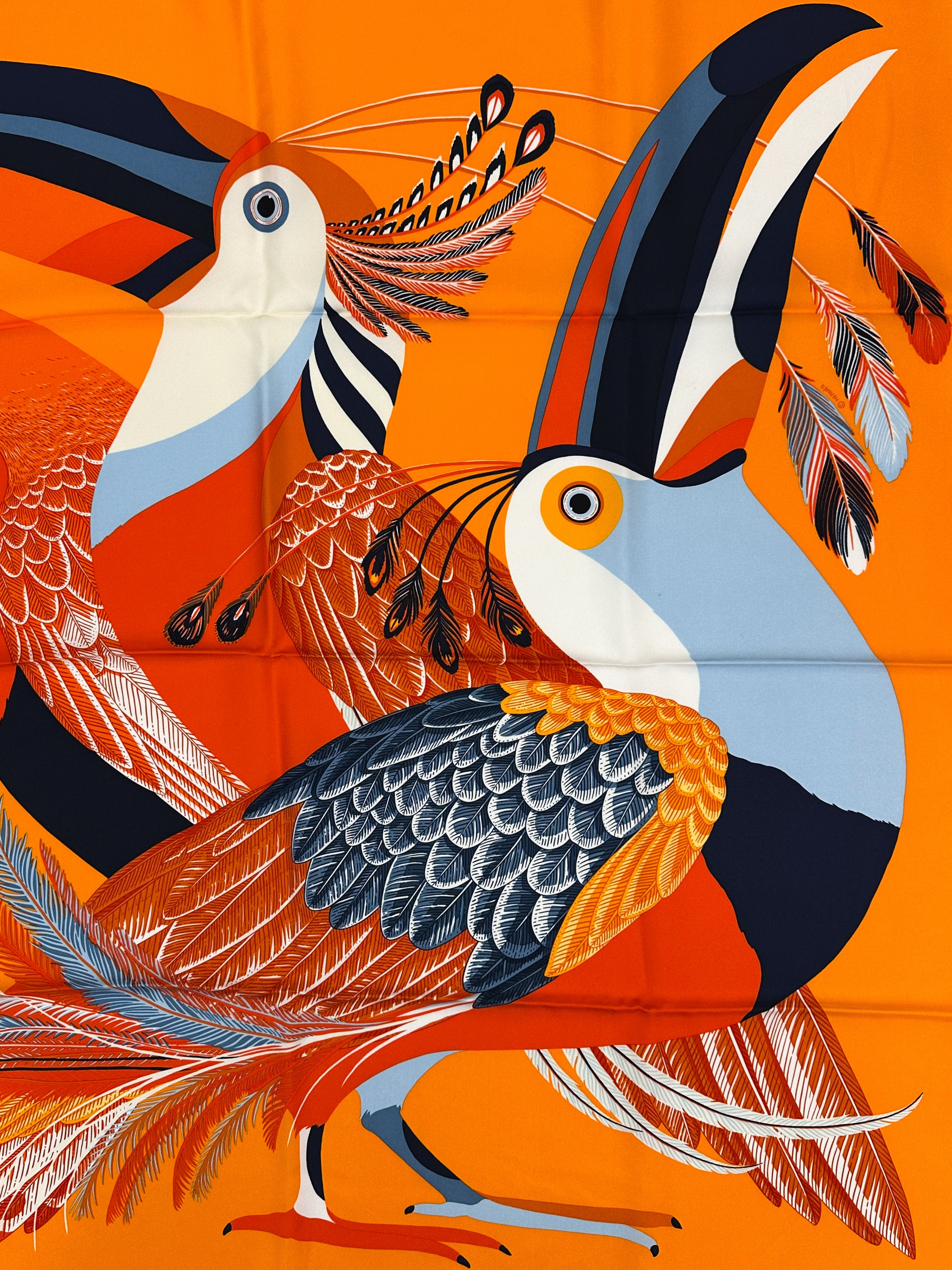 Hermès Toucans de Paradis 90