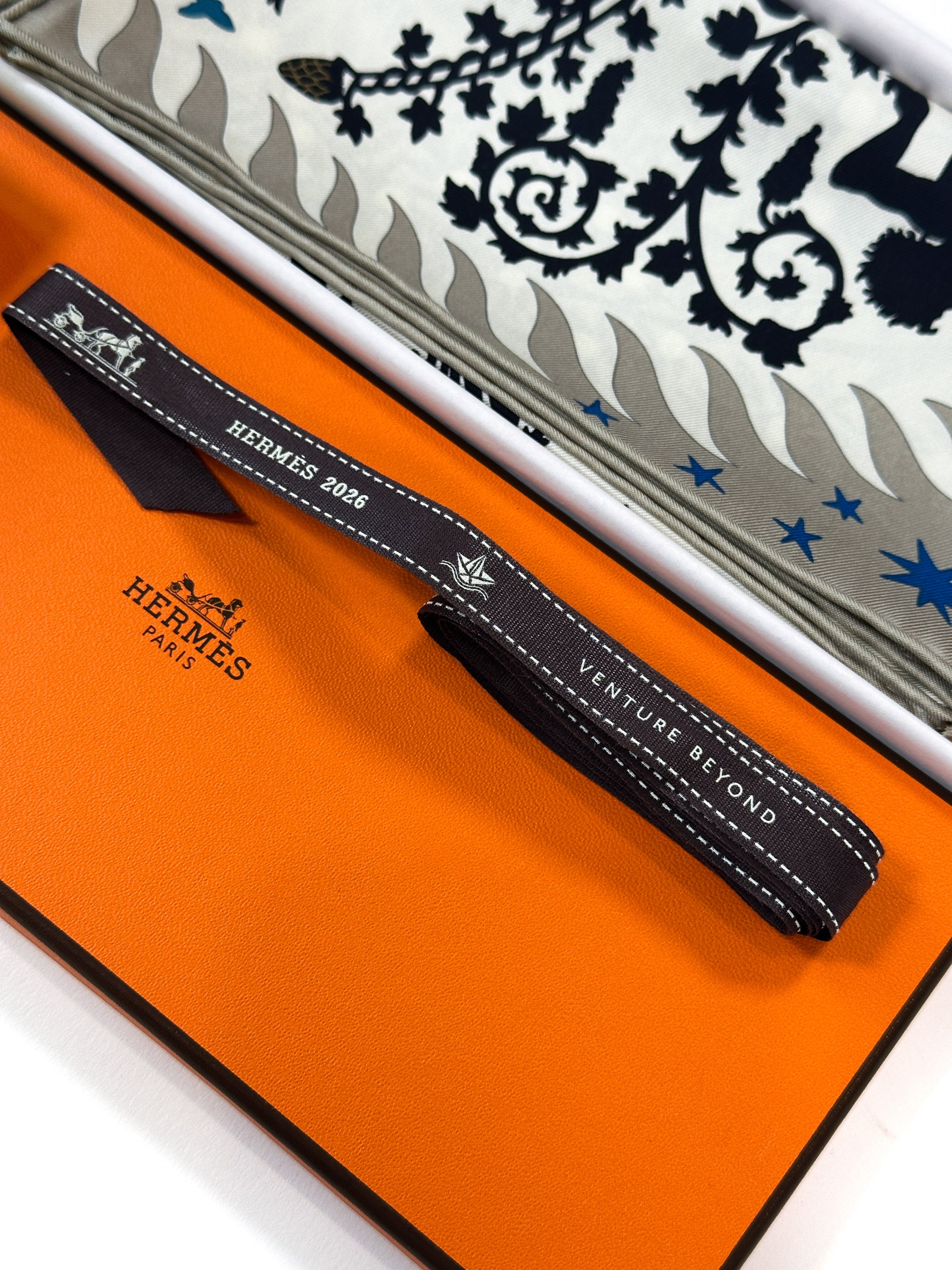Hermès Sous le Charme d'Orphée 45
