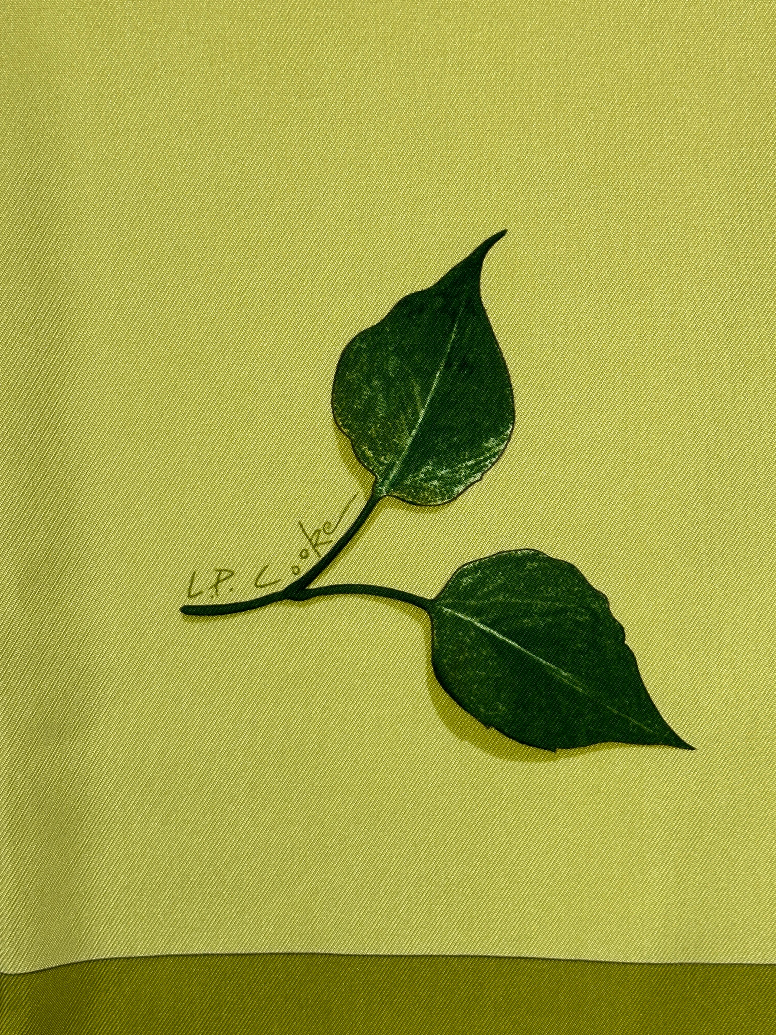 Hermès A Walk In The Park 90