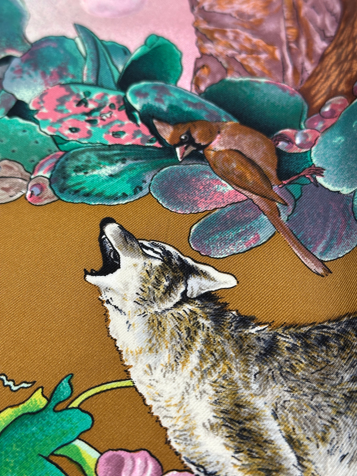 Hermès Faune et Flore du Texas 90