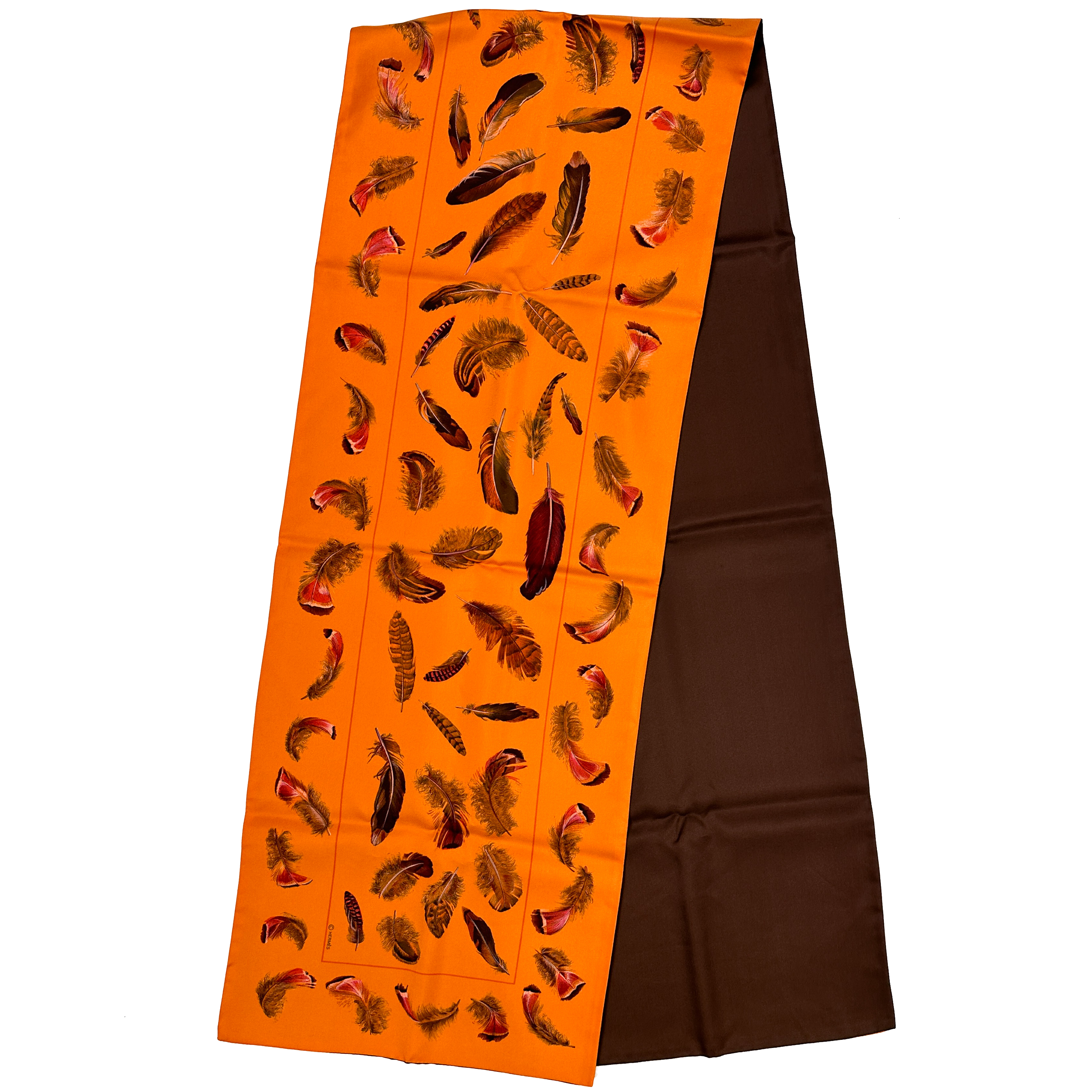 Hermès Plumes Silk Shawl