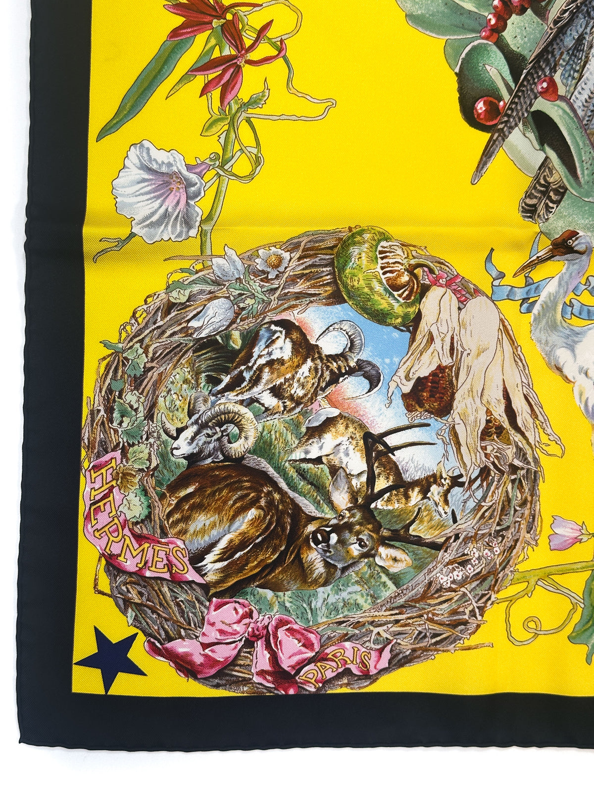 Hermès *Limited Edition Museum of Fine Arts Houston 2005* Faune et Flore du Texas 90