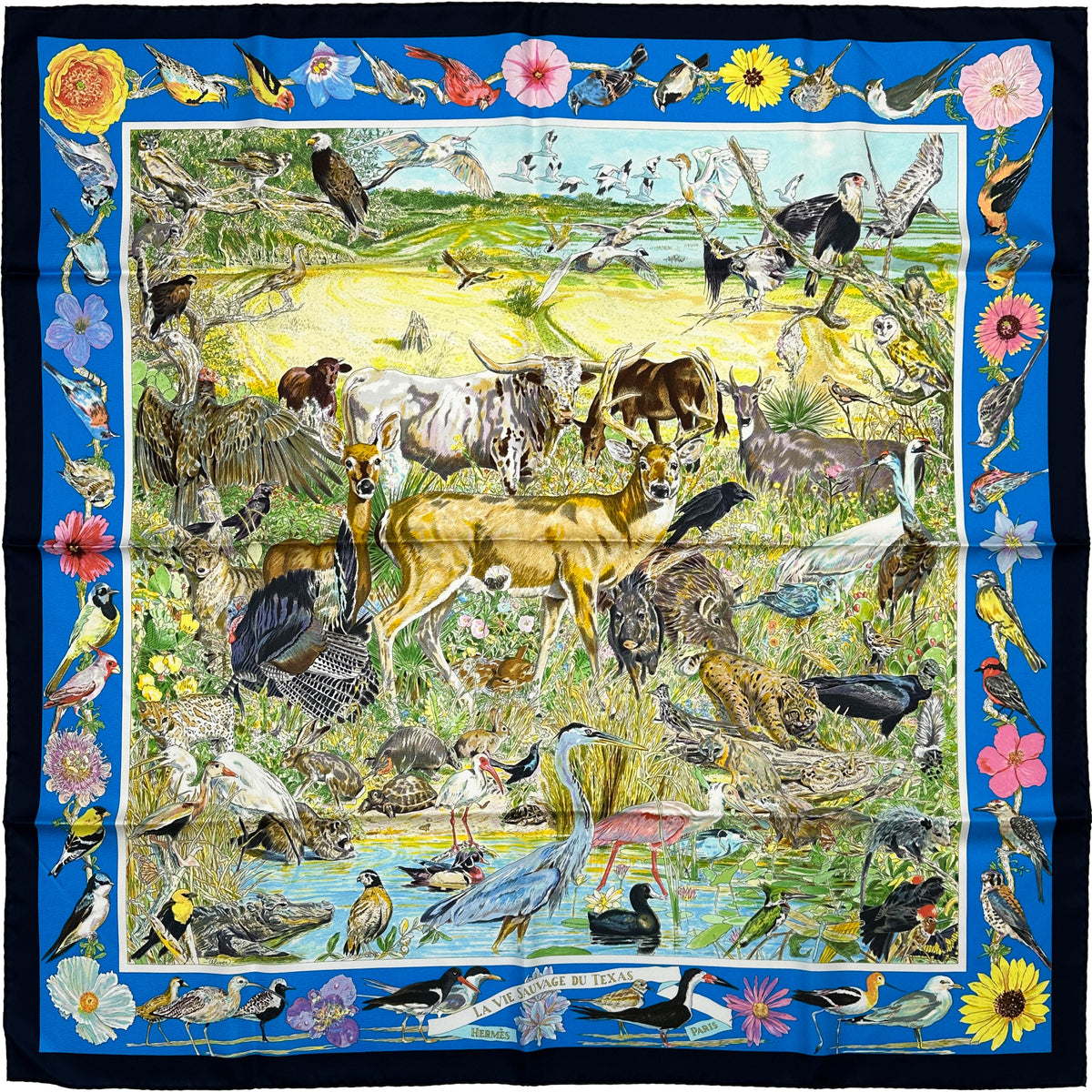 Hermès La Vie Sauvage du Texas 90