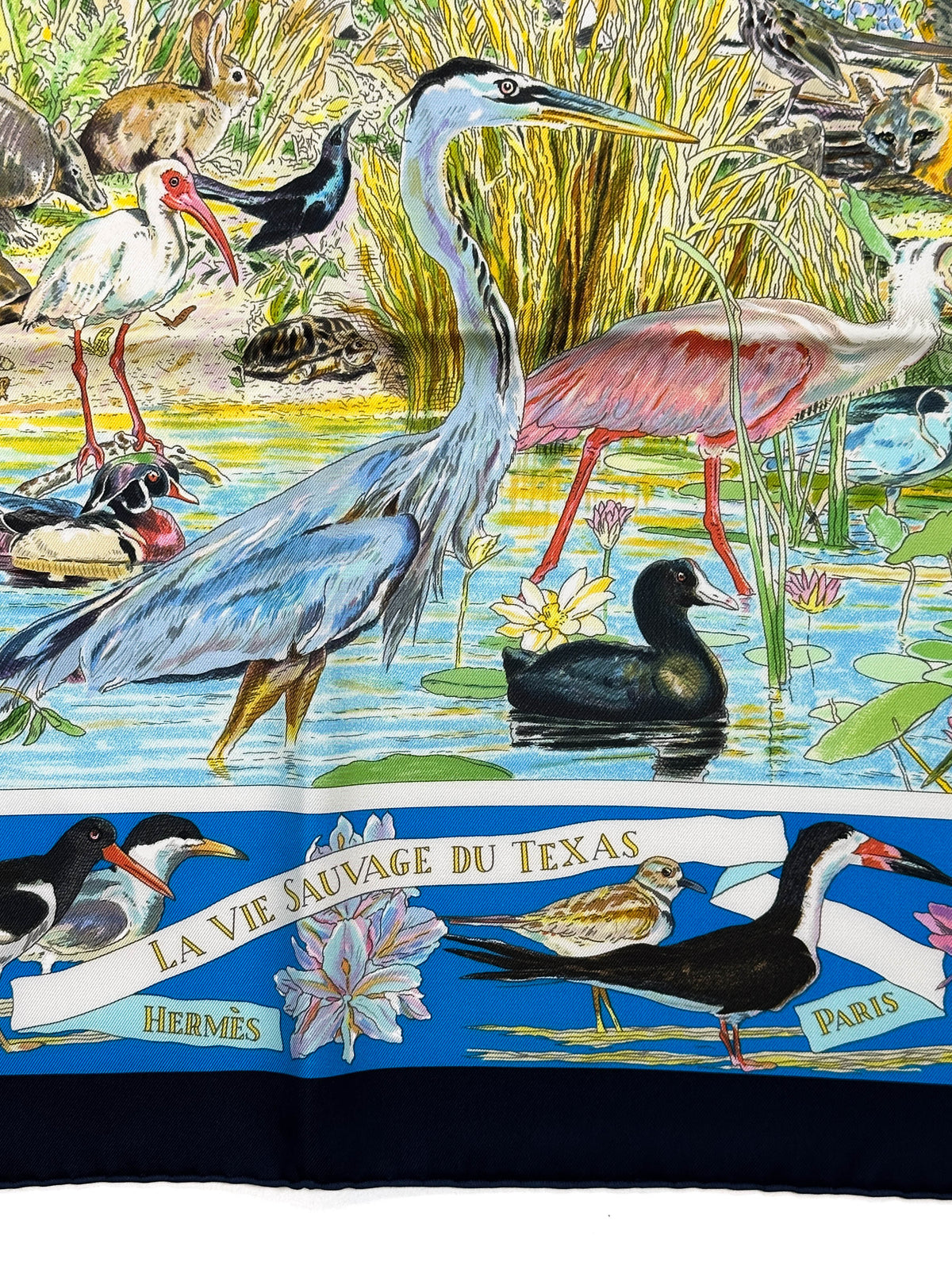 Hermès La Vie Sauvage du Texas 90