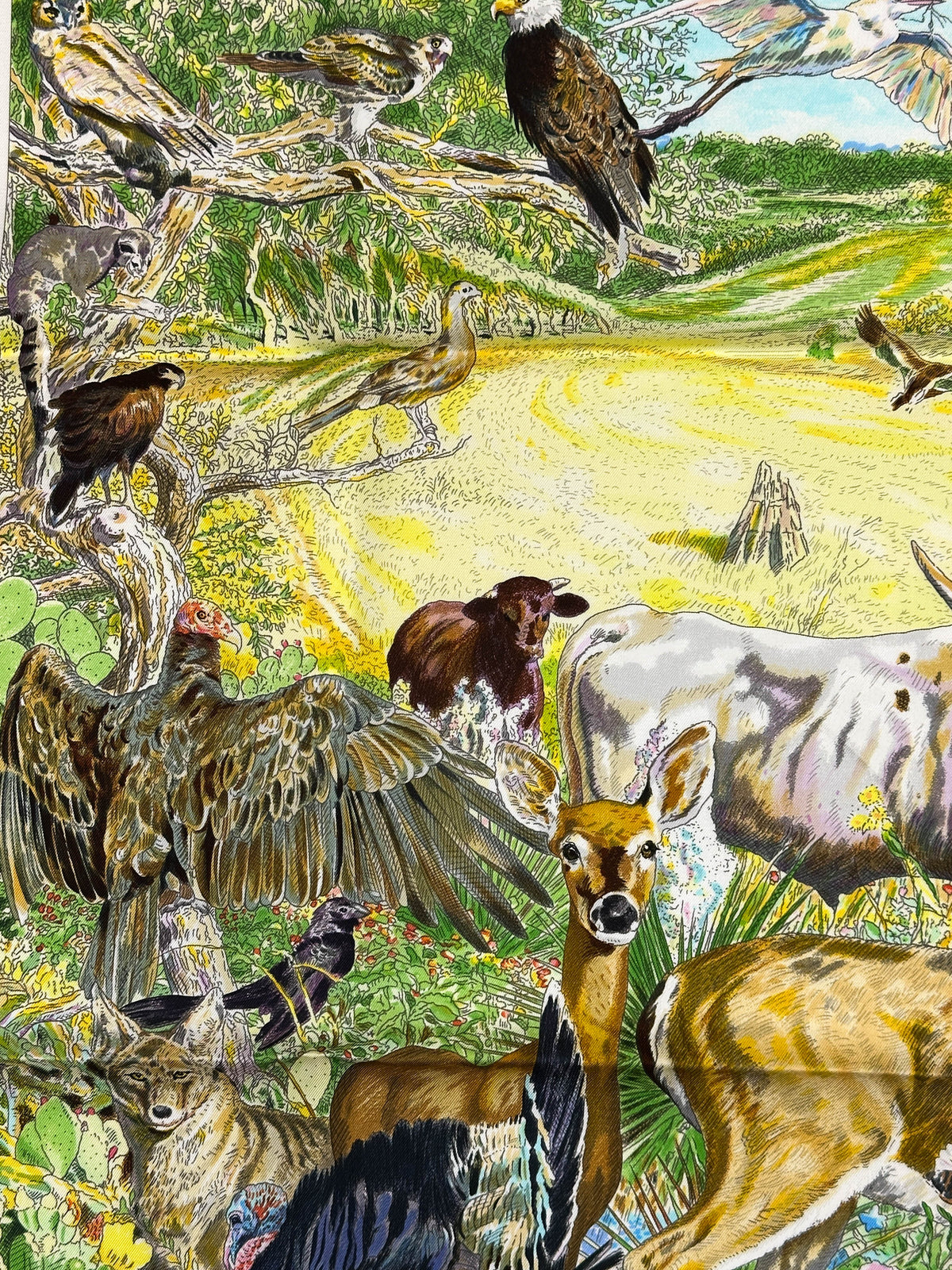 Hermès La Vie Sauvage du Texas 90