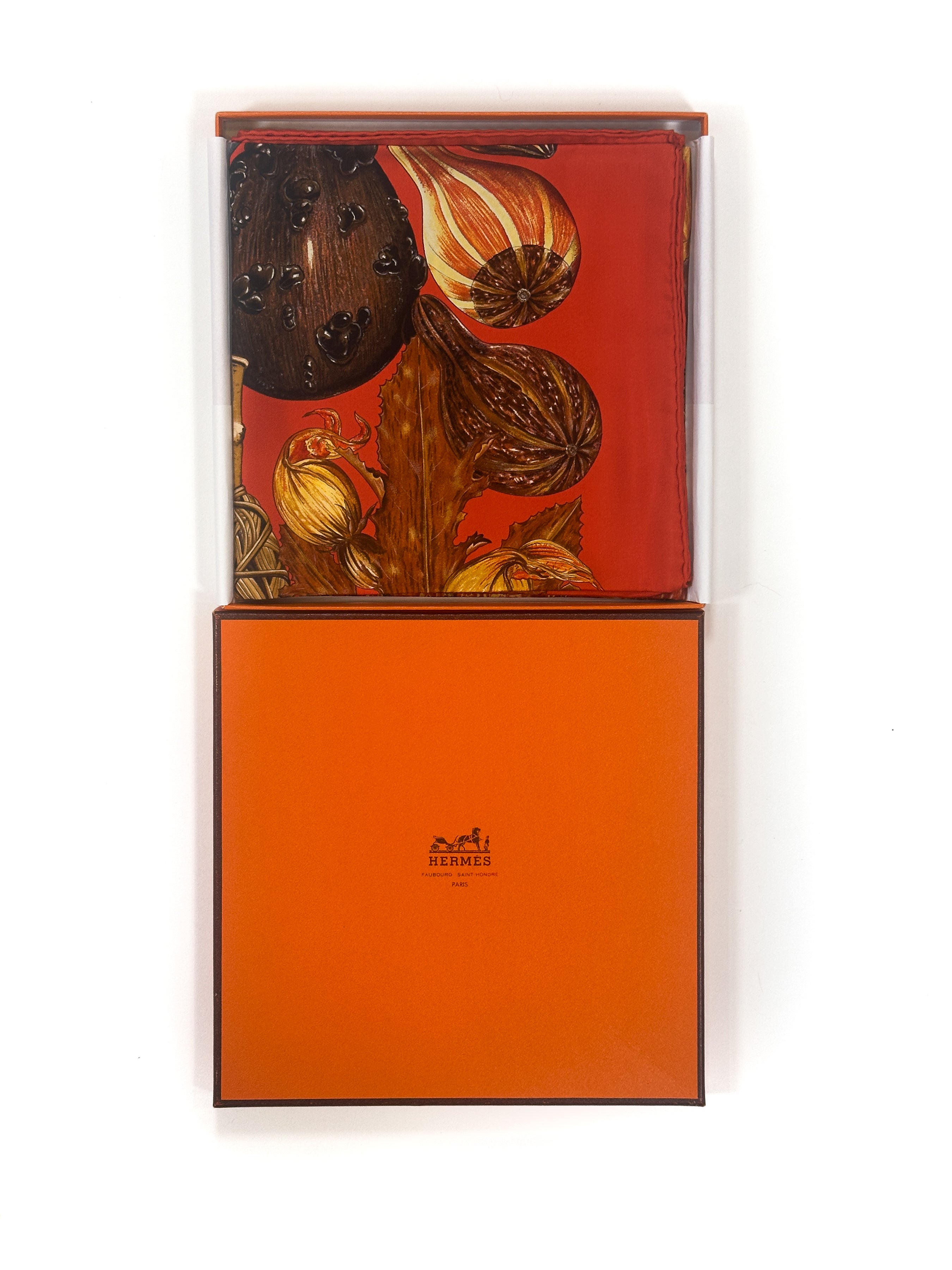 Hermès Citrouilles et Coloquintes 90