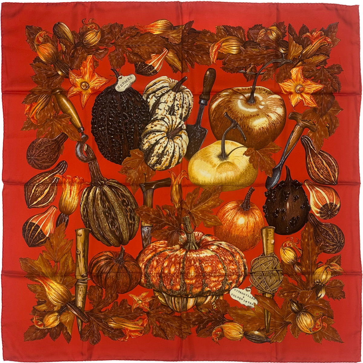 Hermès Citrouilles et Coloquintes 90
