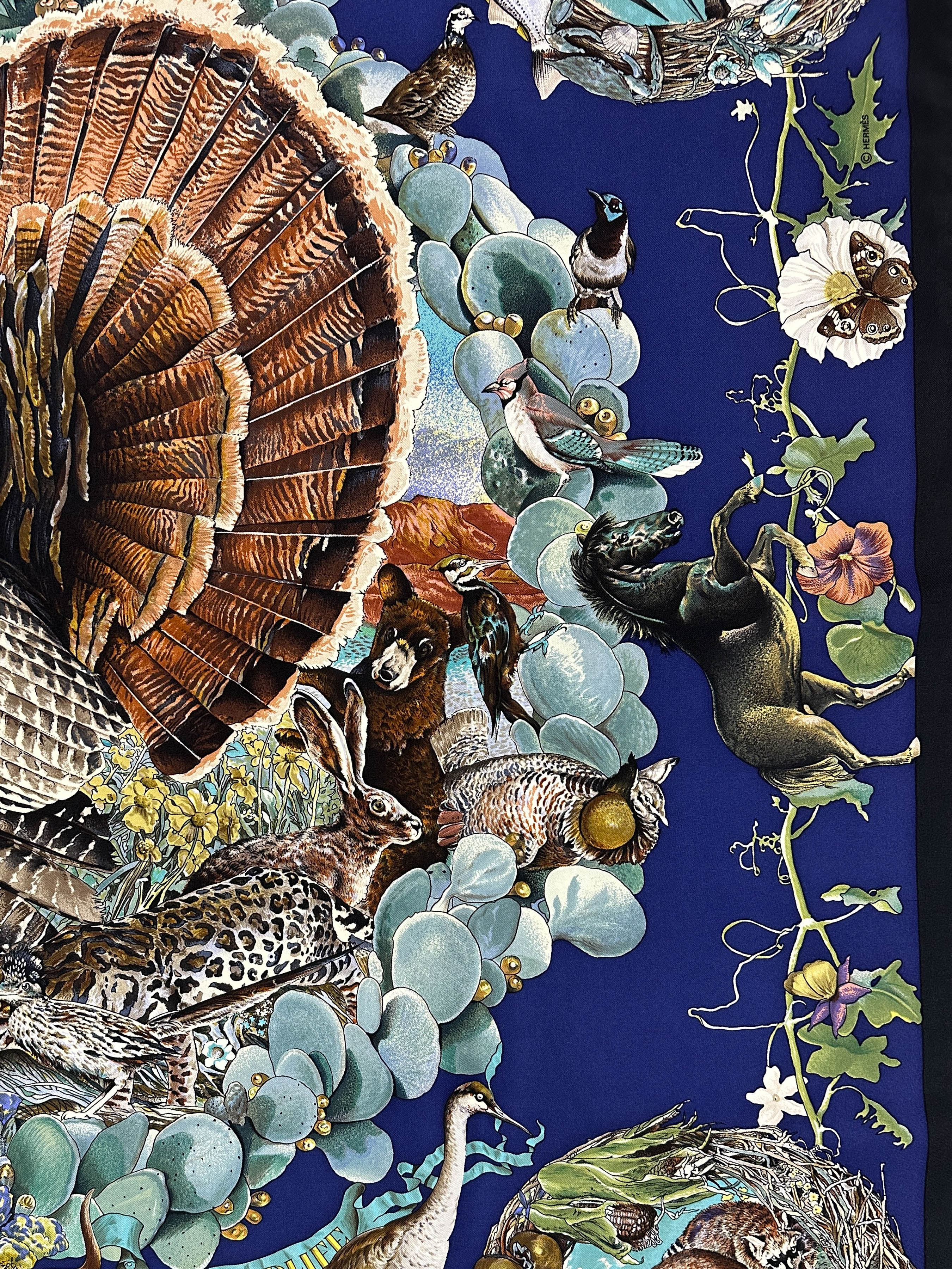 Hermès Faune et Flore du Texas 90