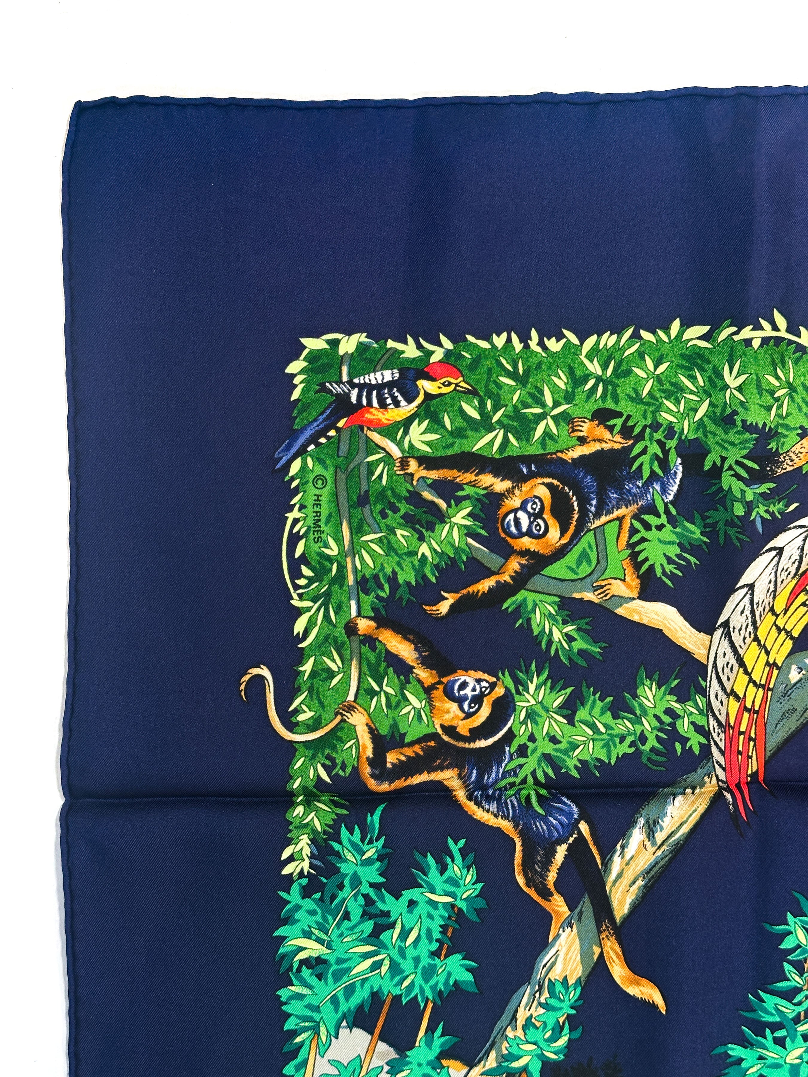 Hermès Sichuan 90