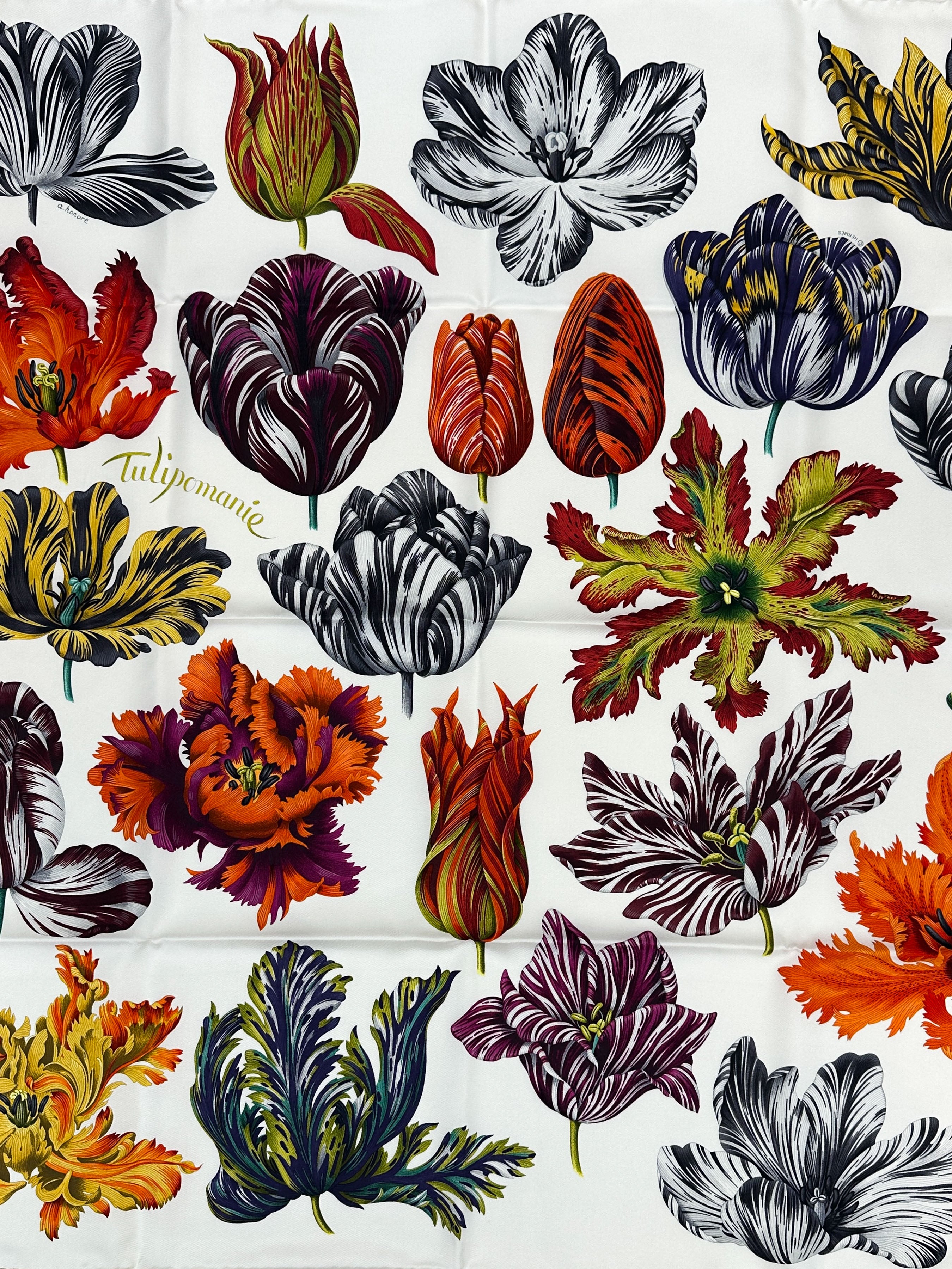 Hermès Tulipomanie 90