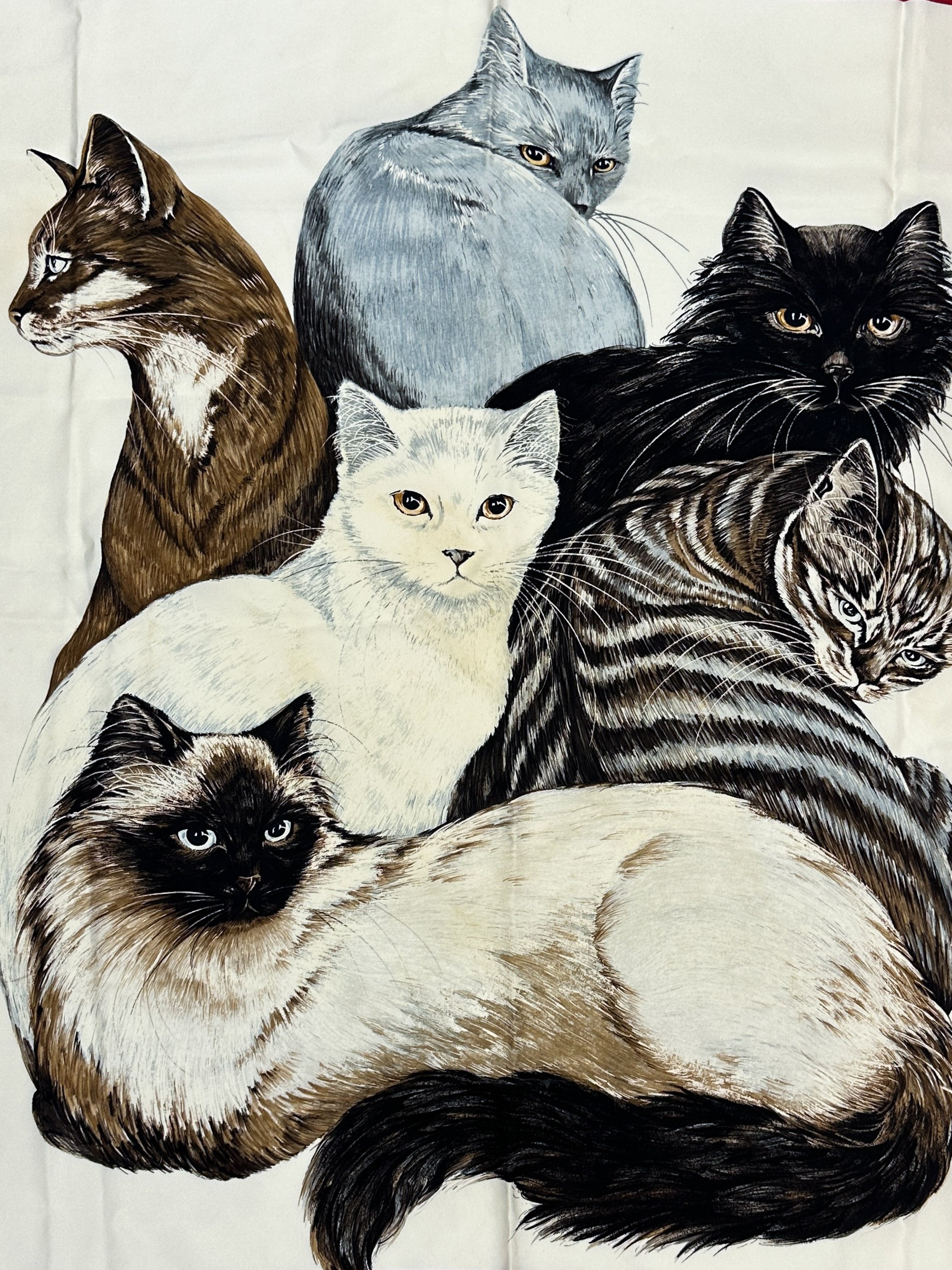 Hermès Les Chats 90
