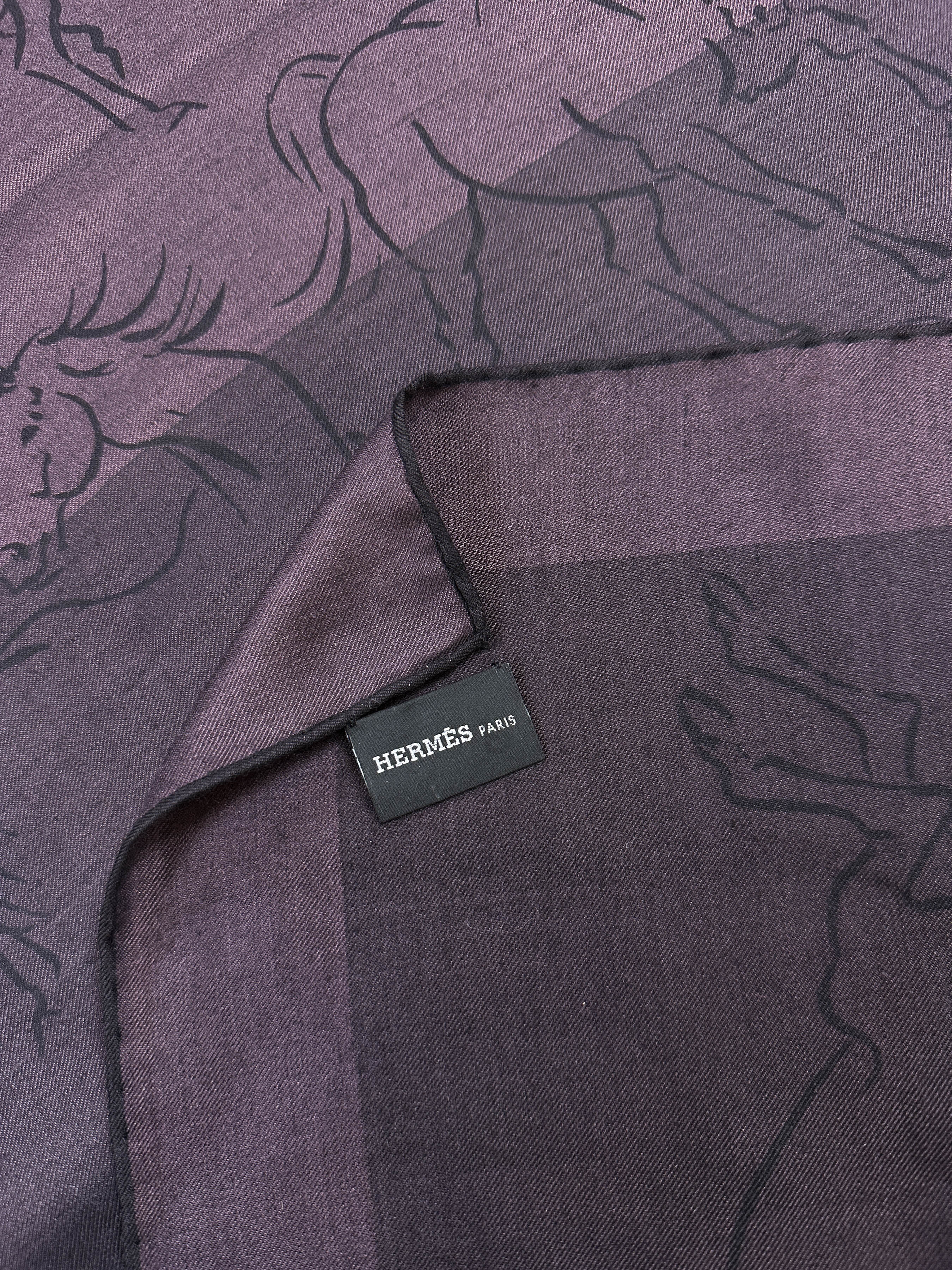 Hermès Les Etalons Horses Echarpe au Carre Rectangle