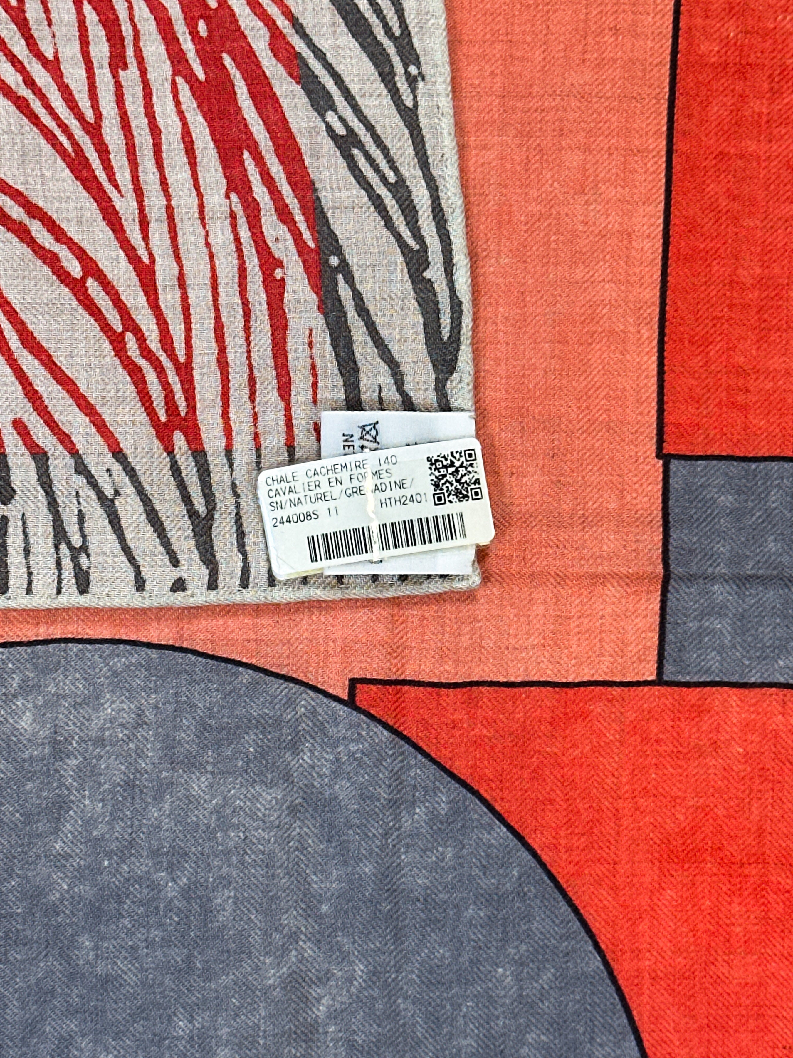 Hermès Cavalier en Formes Cashmere Silk 140
