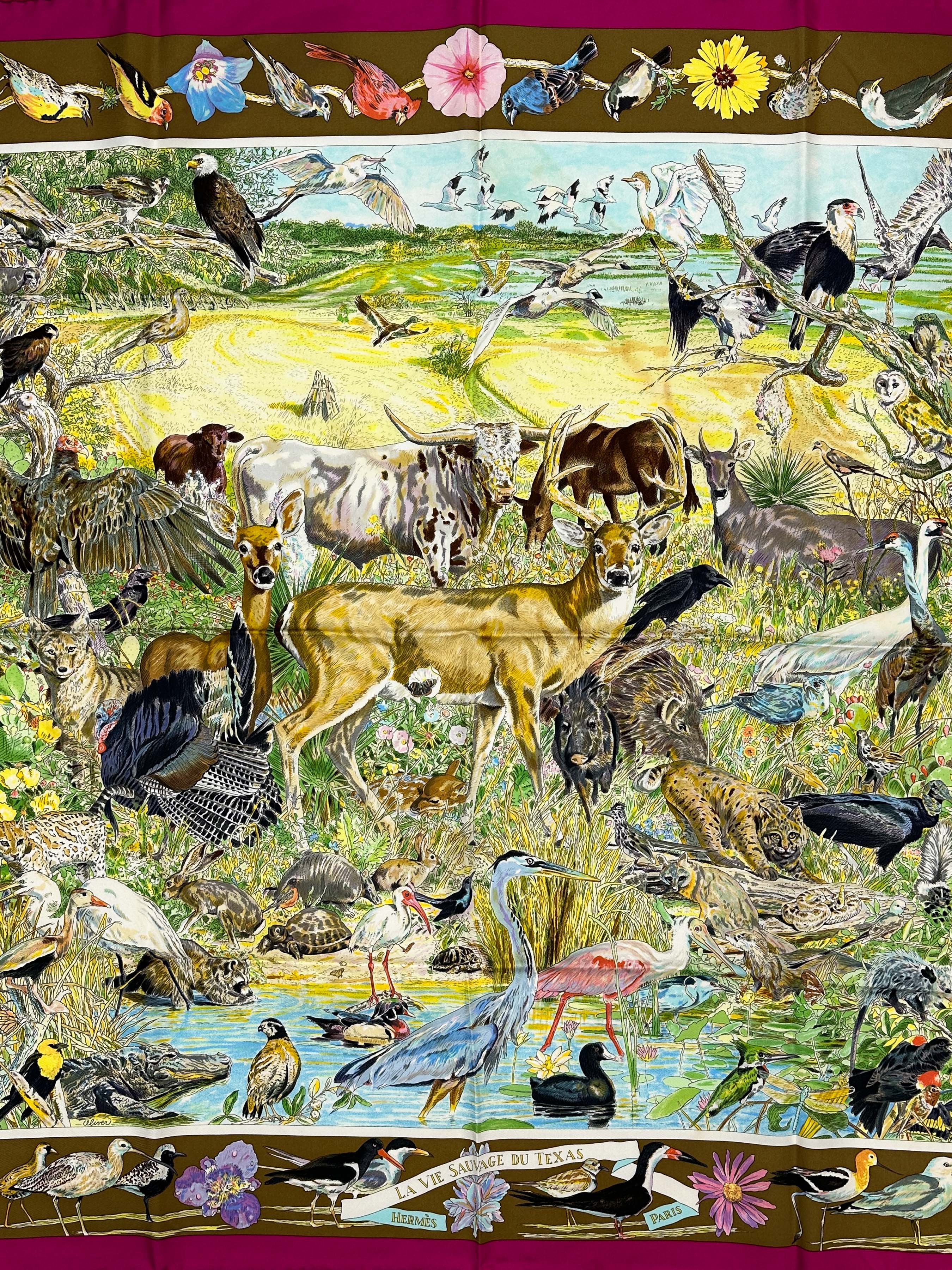 Hermès La Vie Sauvage du Texas 90