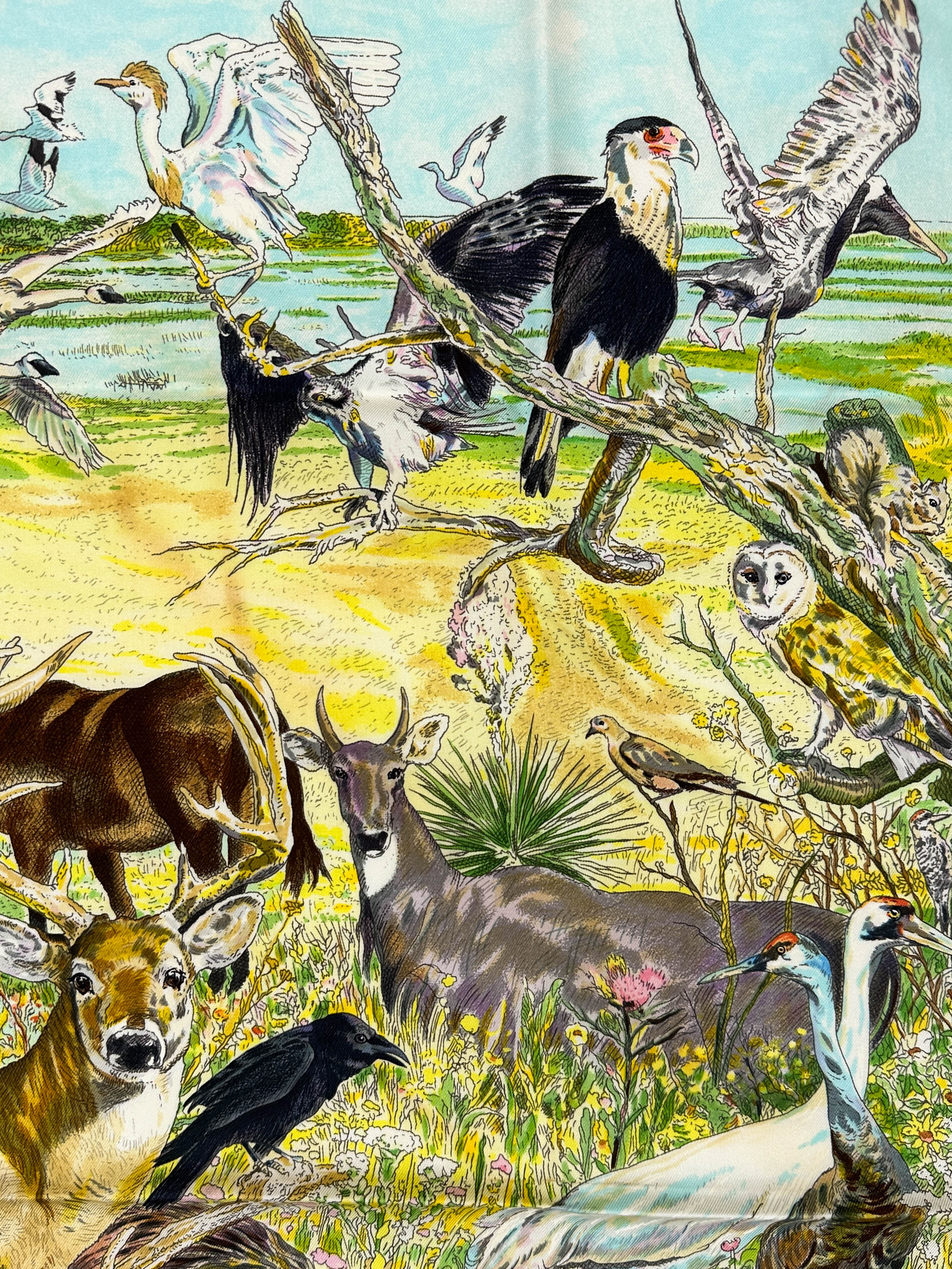 Hermès La Vie Sauvage du Texas 90