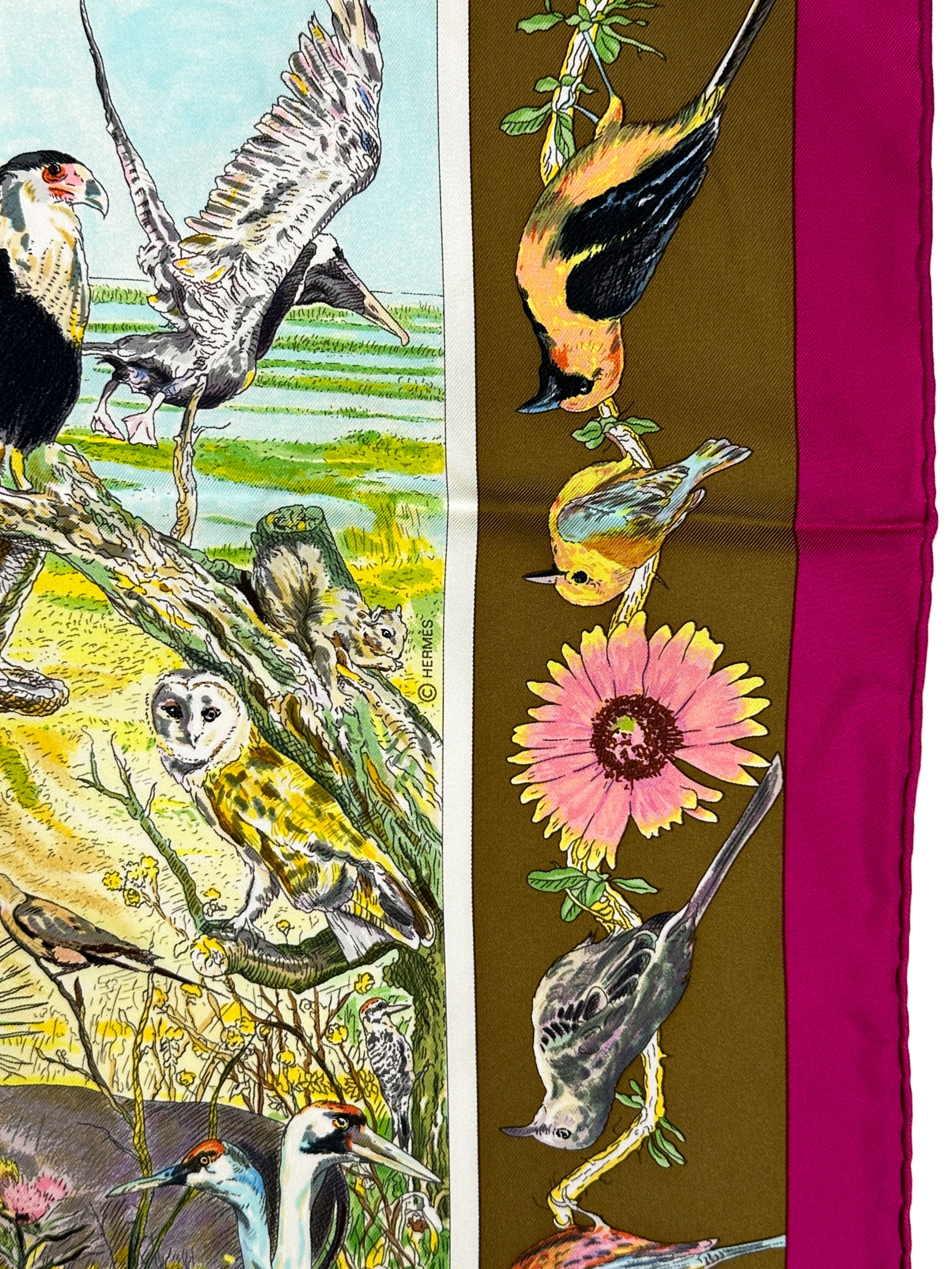 Hermès La Vie Sauvage du Texas 90