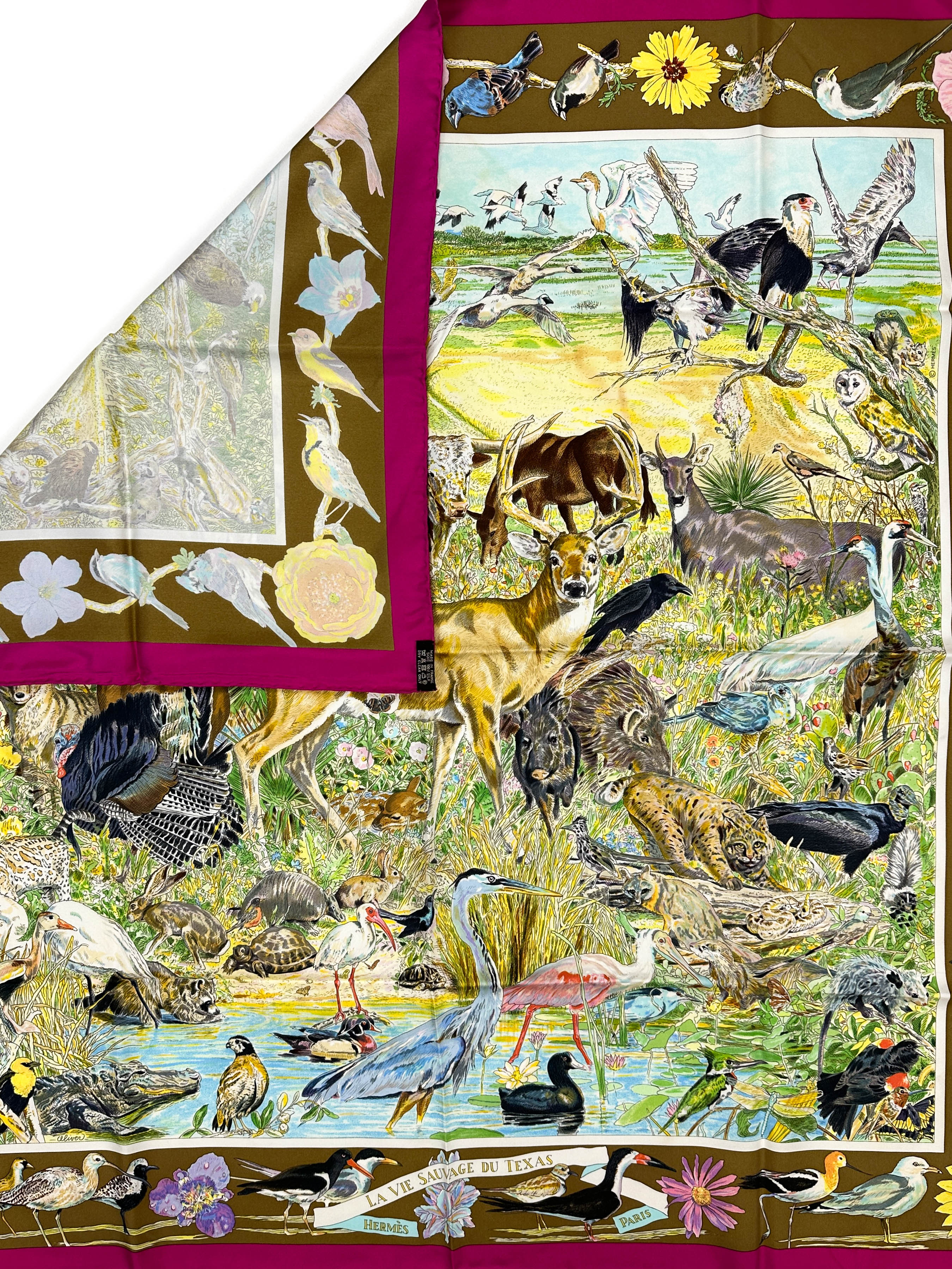 Hermès La Vie Sauvage du Texas 90