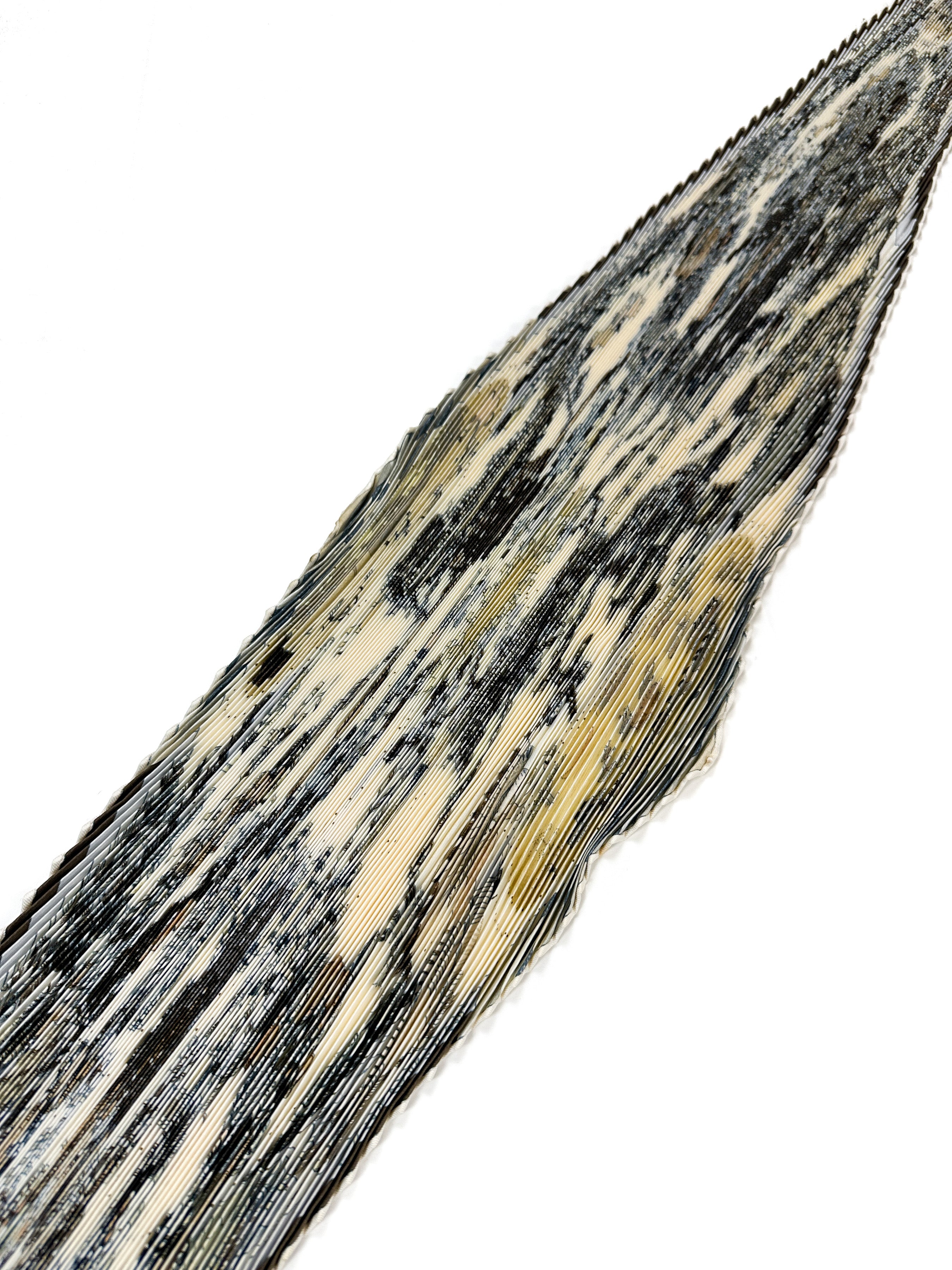 Hermès Les Danses des Indiens Plissé 90