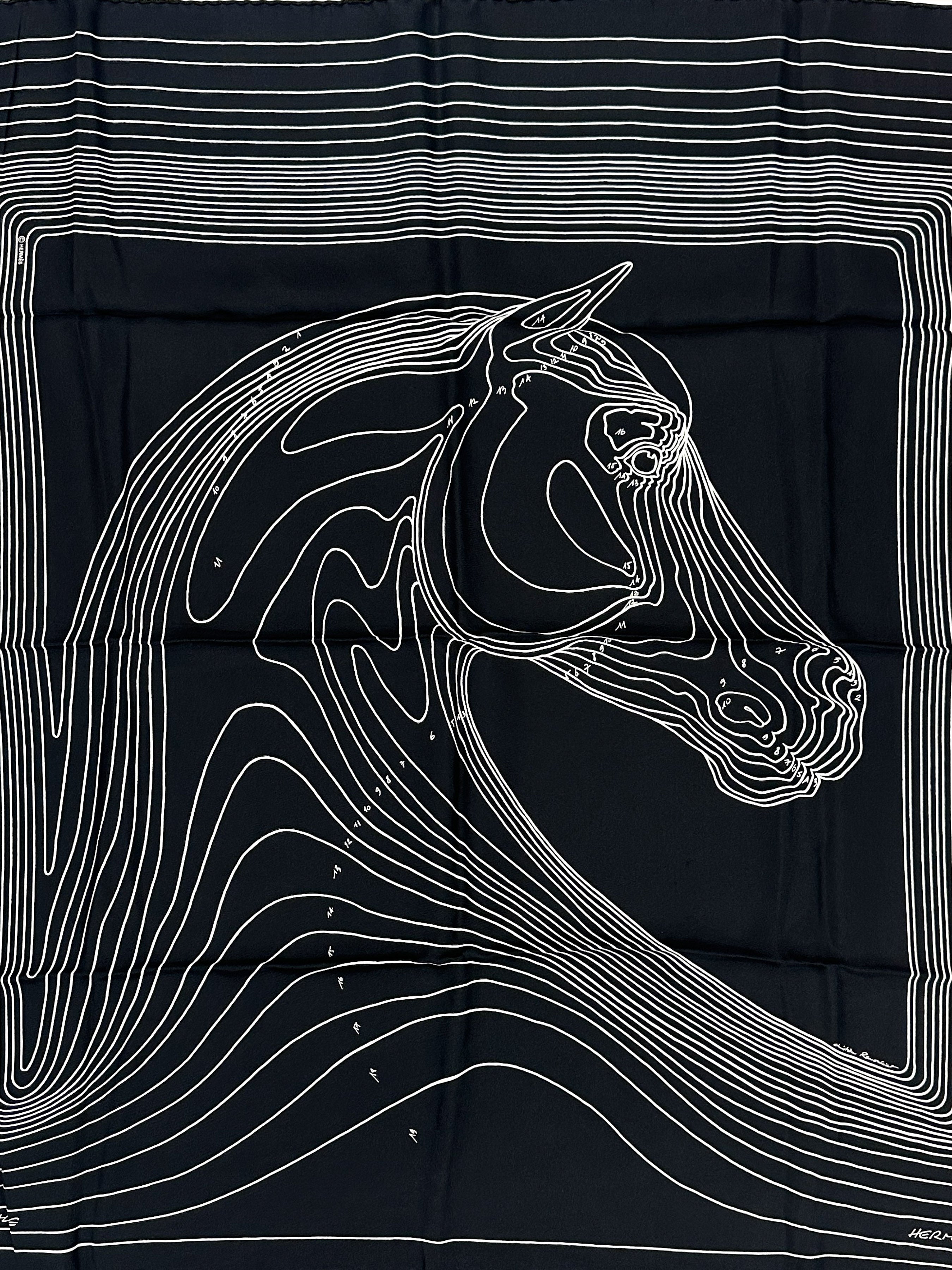 Hermès Pégase Paysage Wash 90